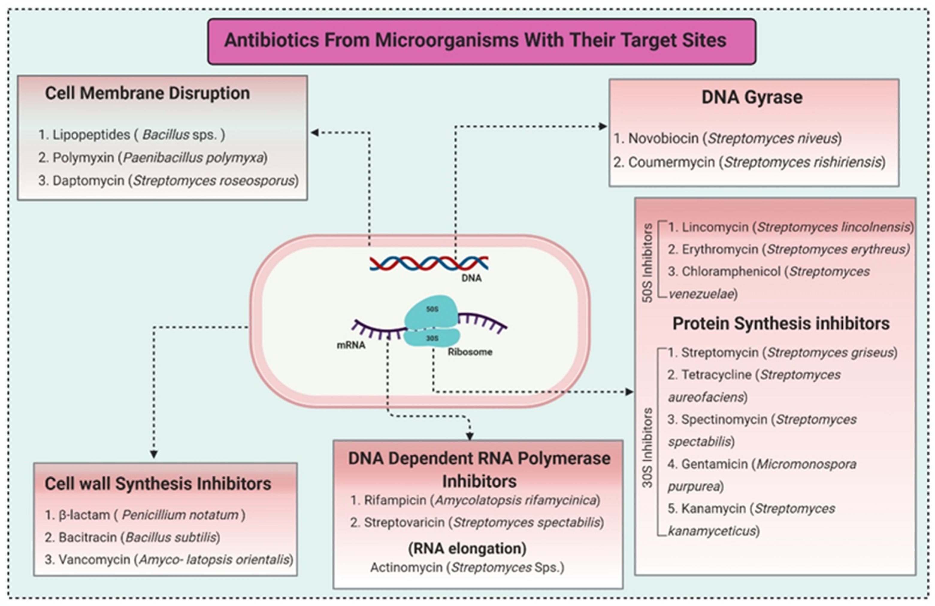 Biomolecules 11 01860 g001 Biomolecules 11 01860 g001