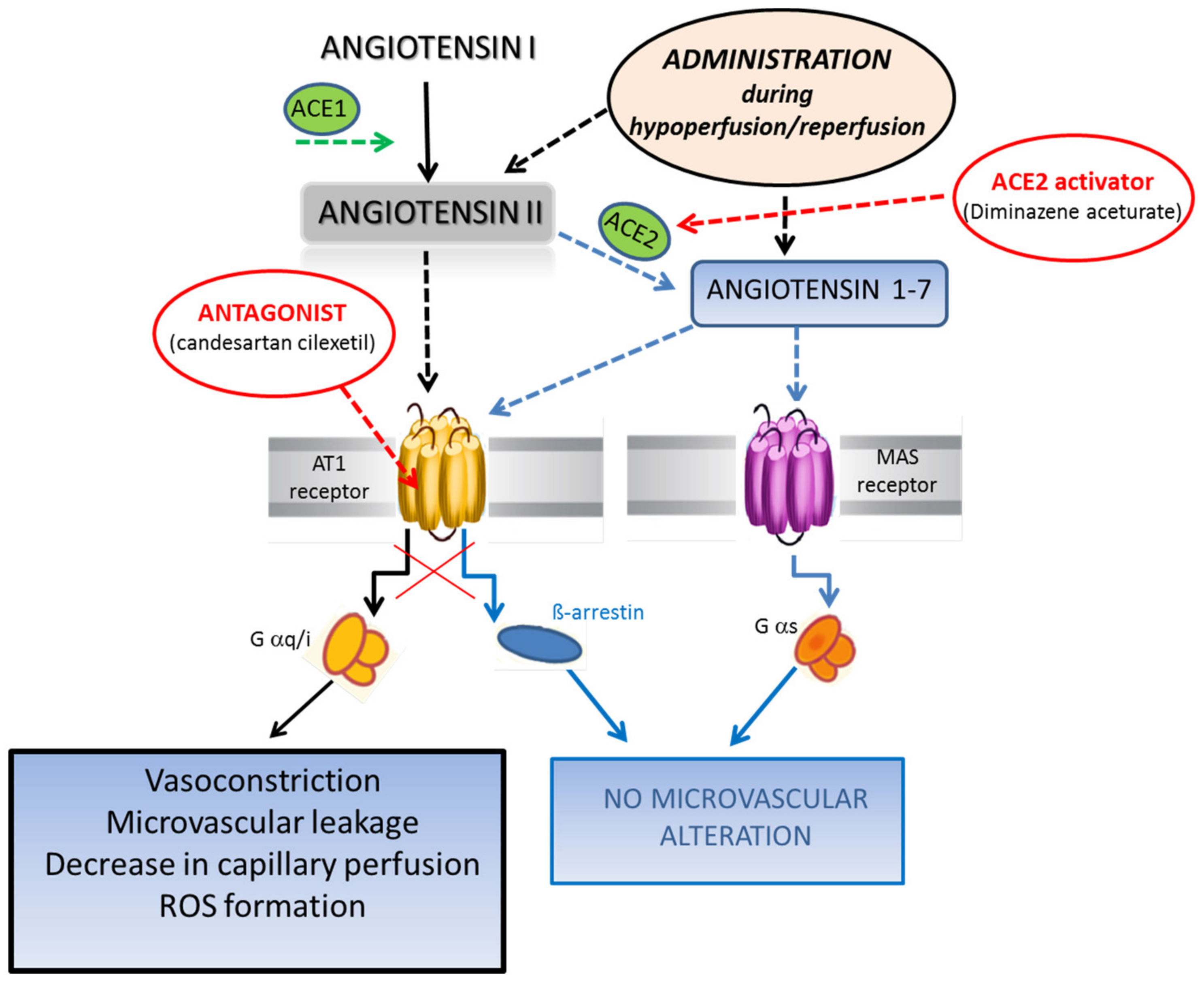 Biomolecules 11 01861 g007 Biomolecules 11 01861 g007