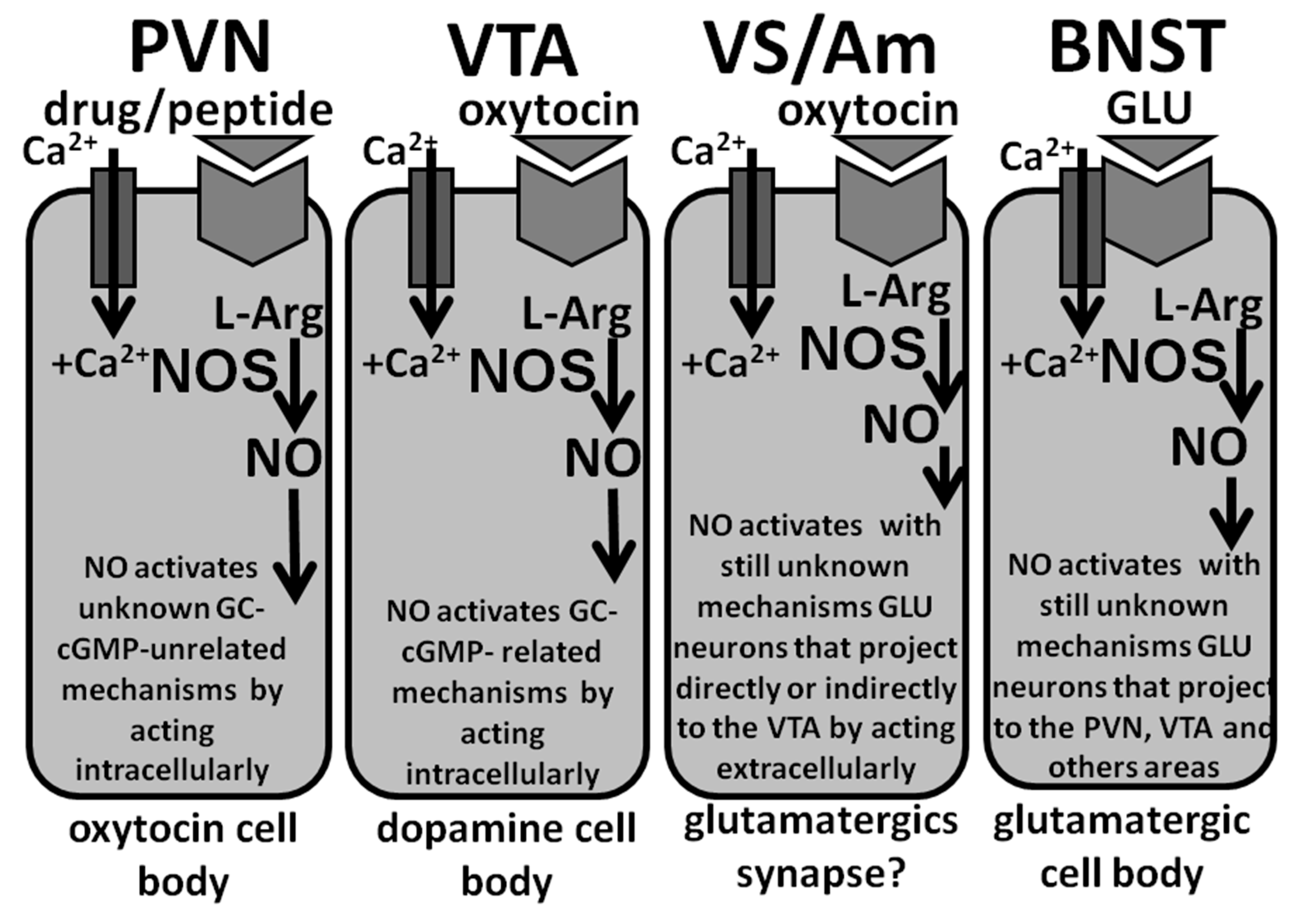 Biomolecules 11 01866 g004