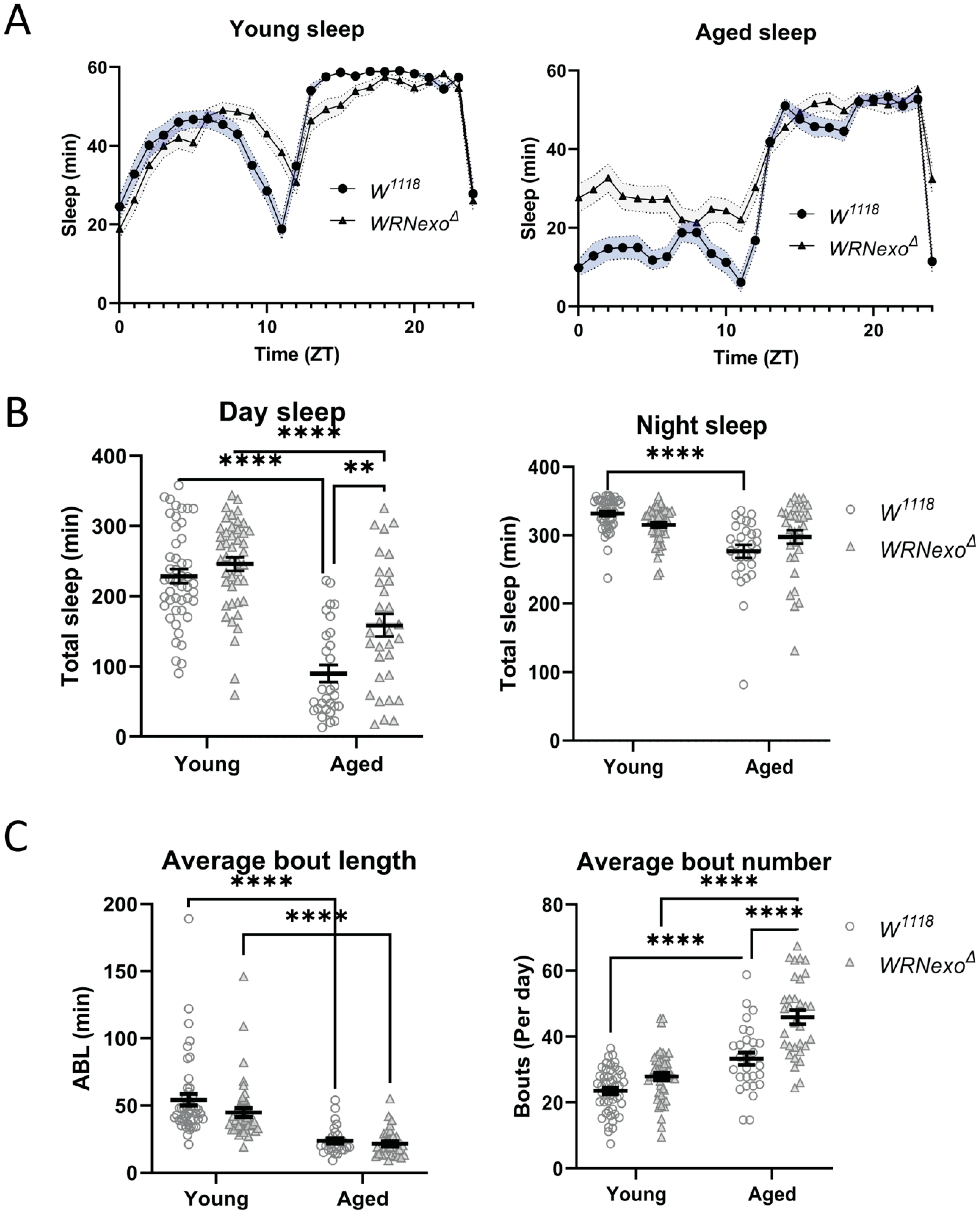 Biomolecules 11 01868 g004