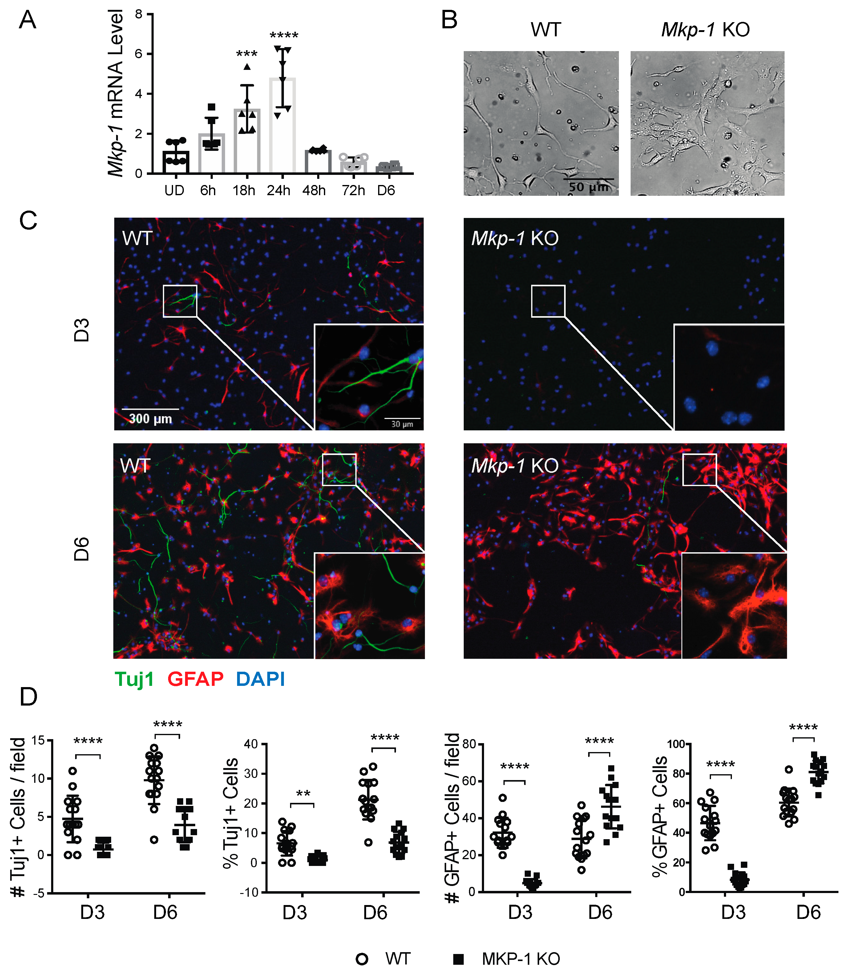 Biomolecules 11 01871 g002 Biomolecules 11 01871 g002