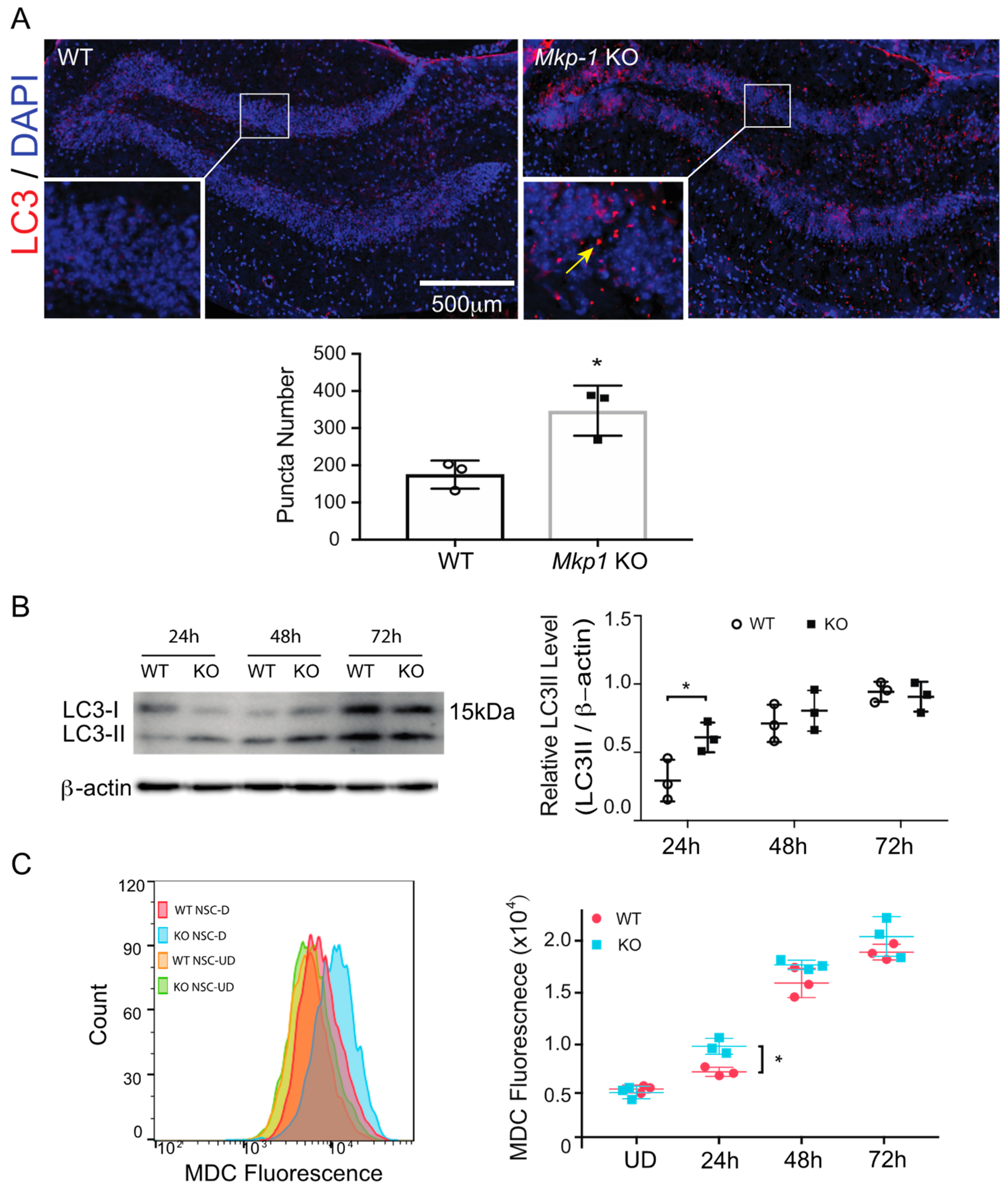 Biomolecules 11 01871 g003 Biomolecules 11 01871 g003