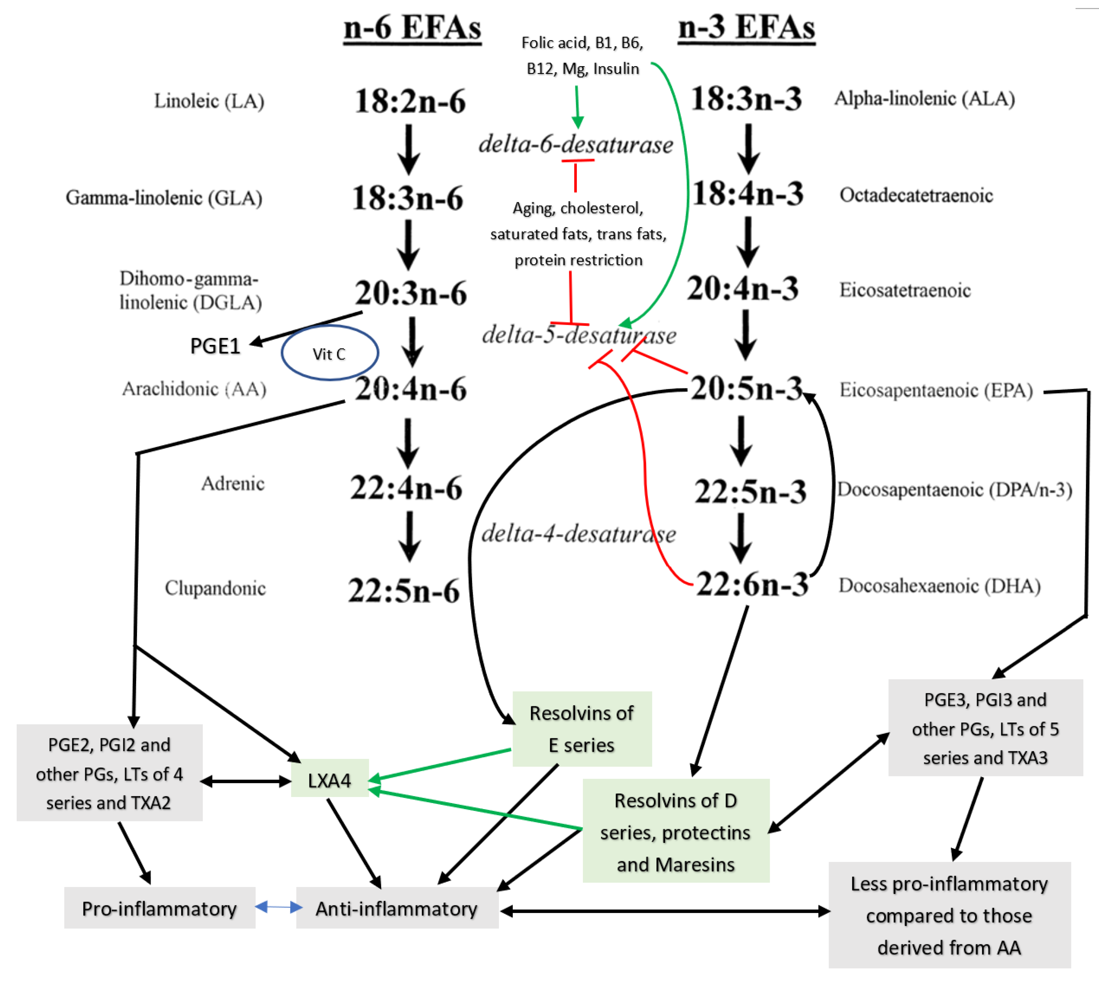 Biomolecules 11 01873 g001 Biomolecules 11 01873 g001