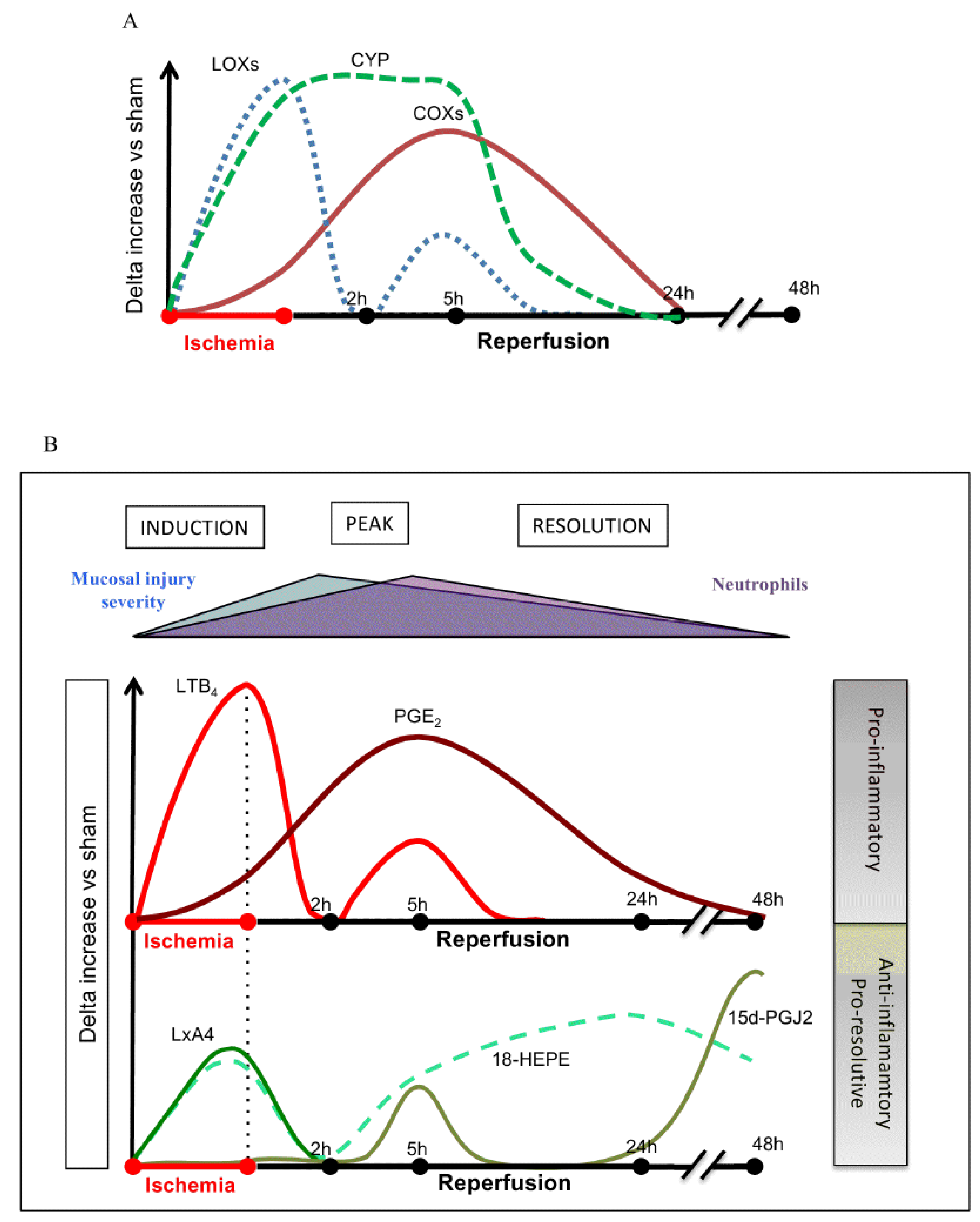 Biomolecules 11 01873 g009 Biomolecules 11 01873 g009