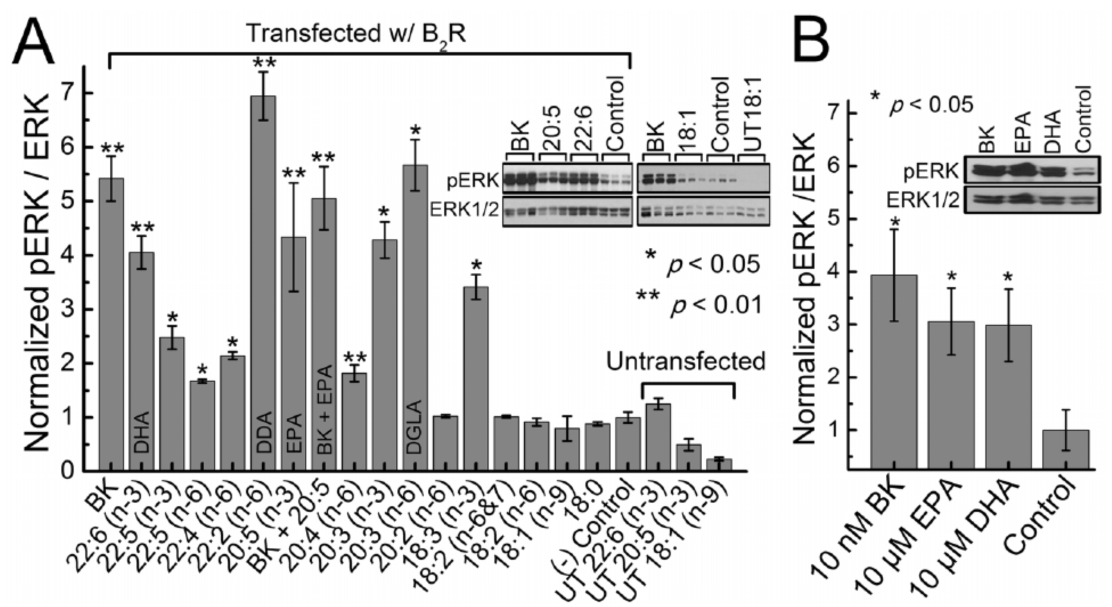 Biomolecules 11 01873 g017 Biomolecules 11 01873 g017