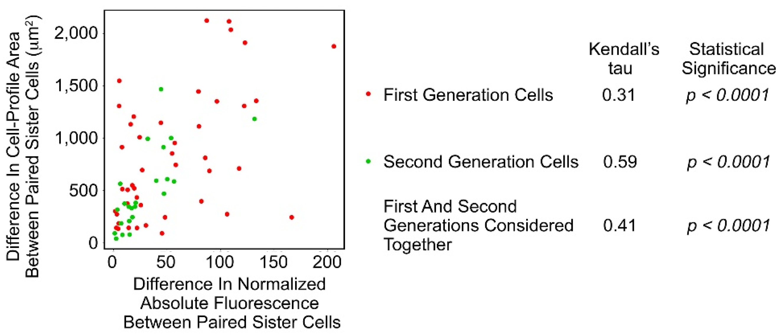 Biomolecules 11 01875 g004 Biomolecules 11 01875 g004