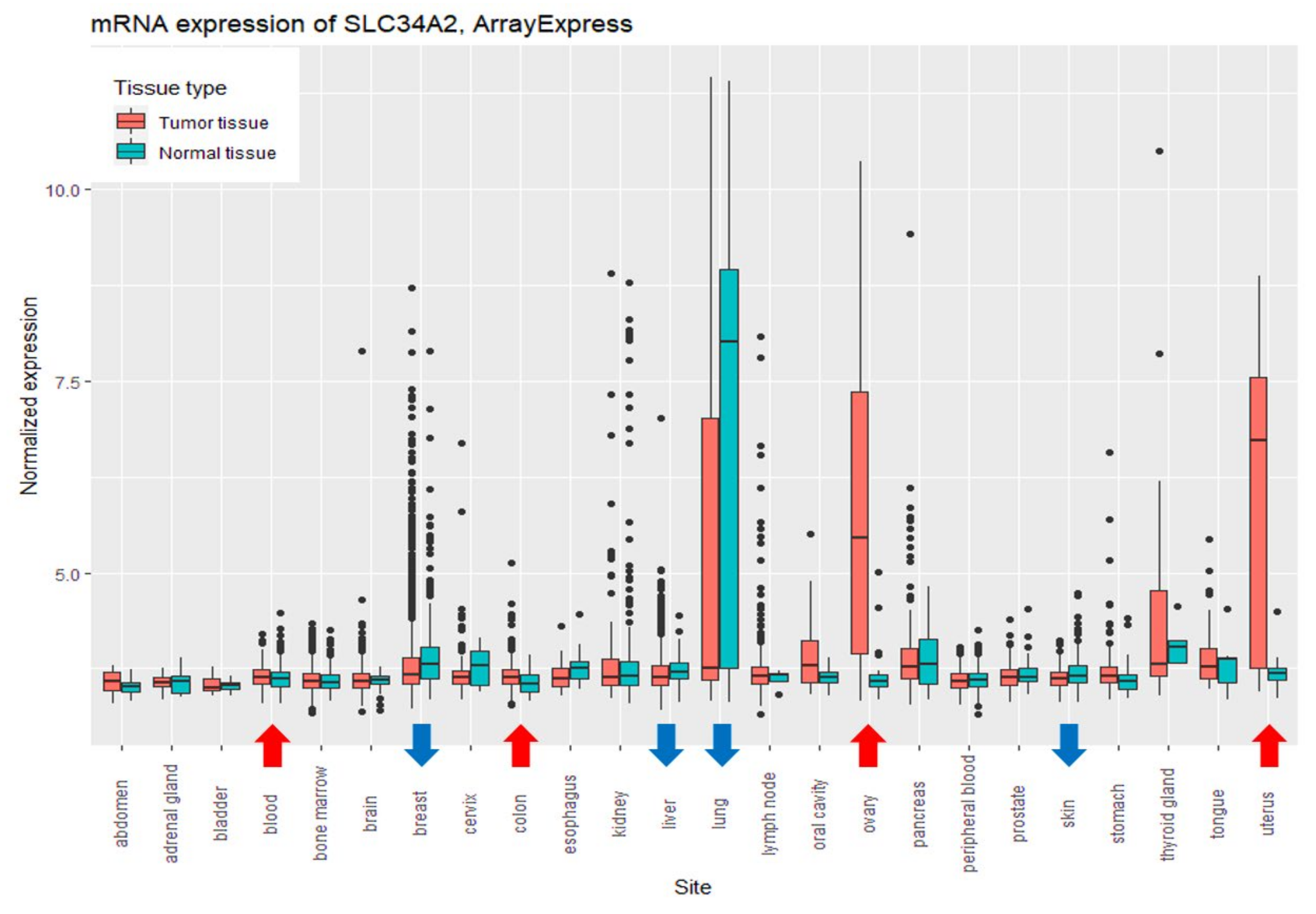 Biomolecules 11 01878 g002 Biomolecules 11 01878 g002