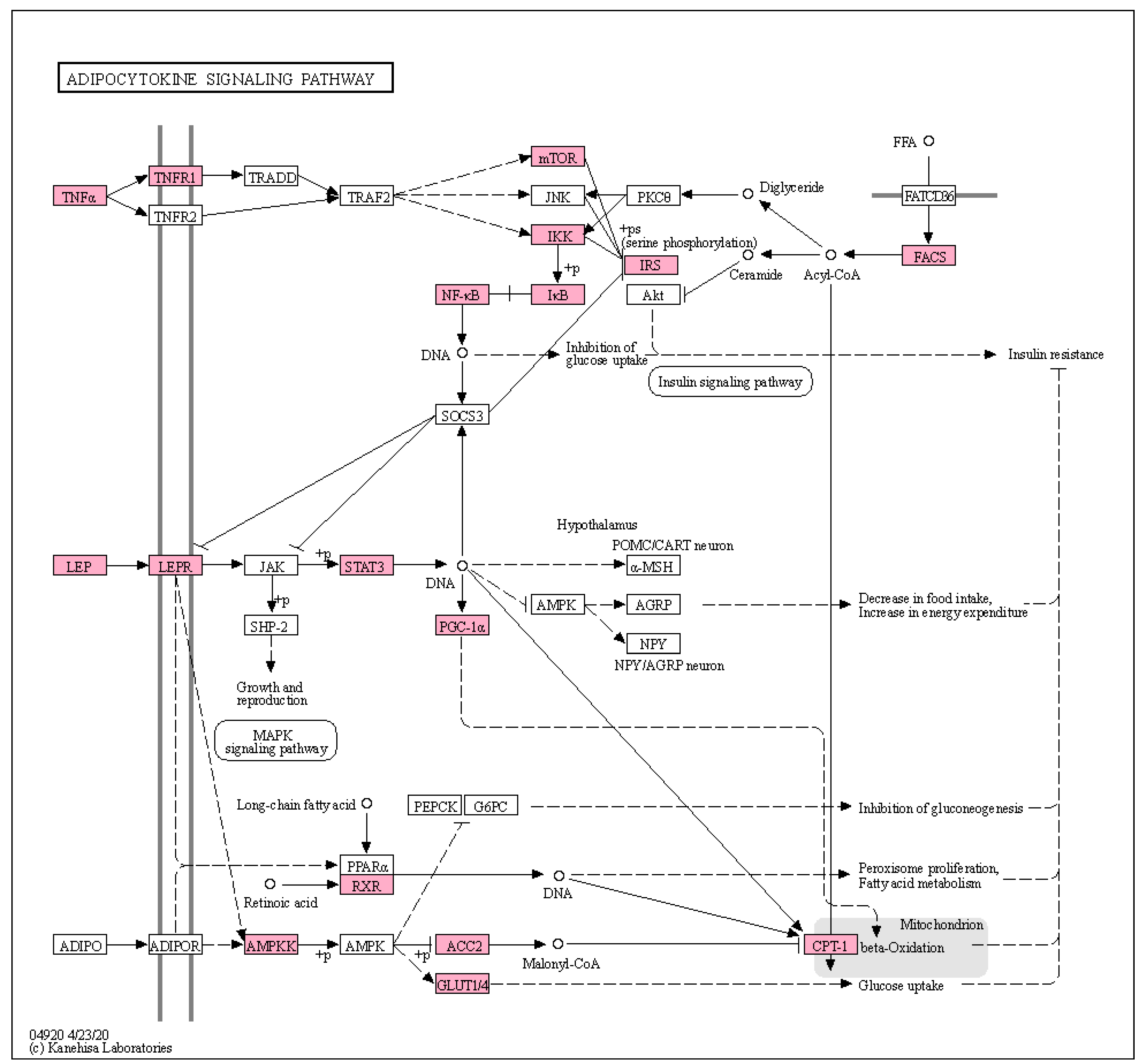Biomolecules 11 01881 g001