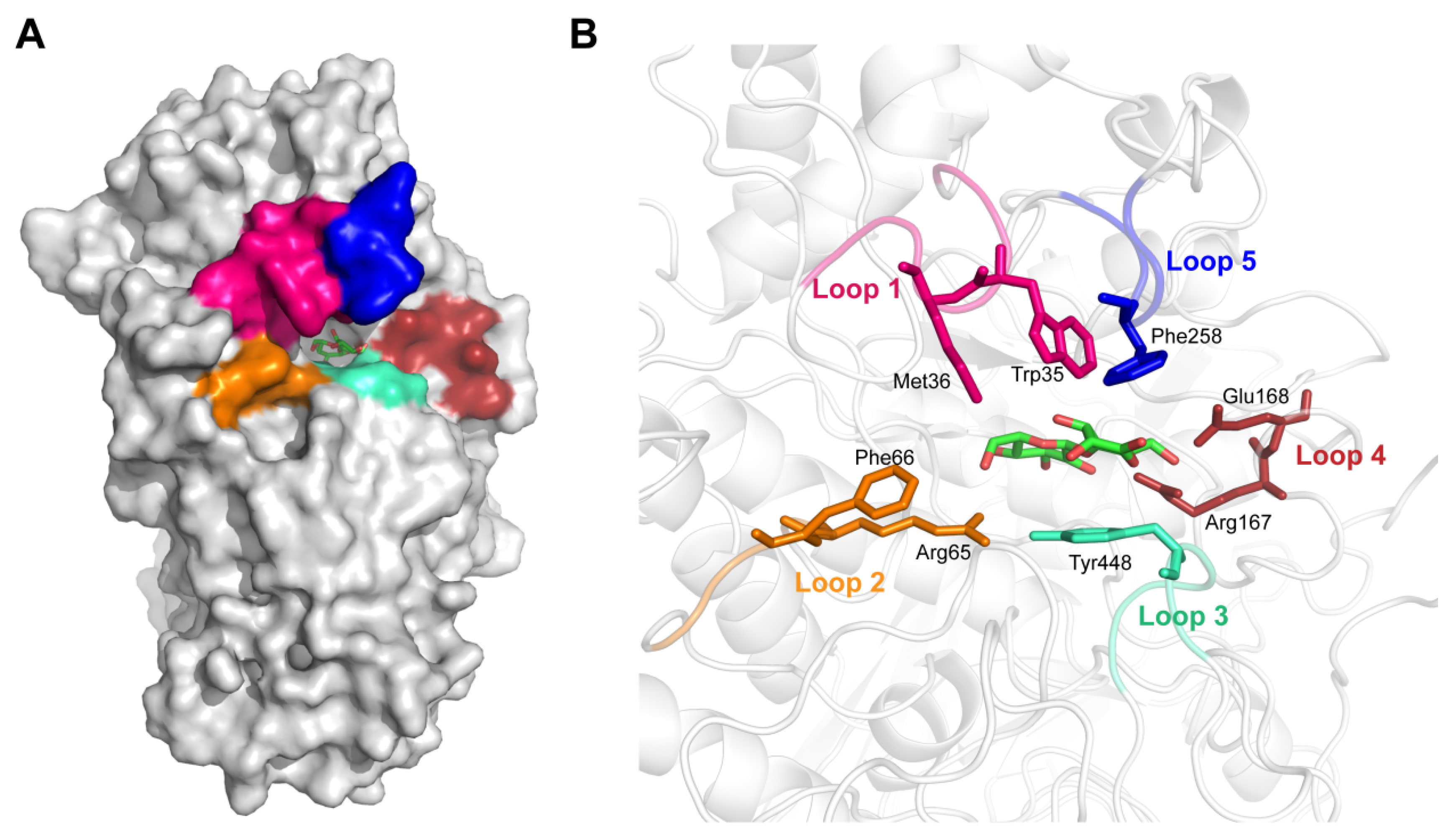 Biomolecules 11 01882 g001