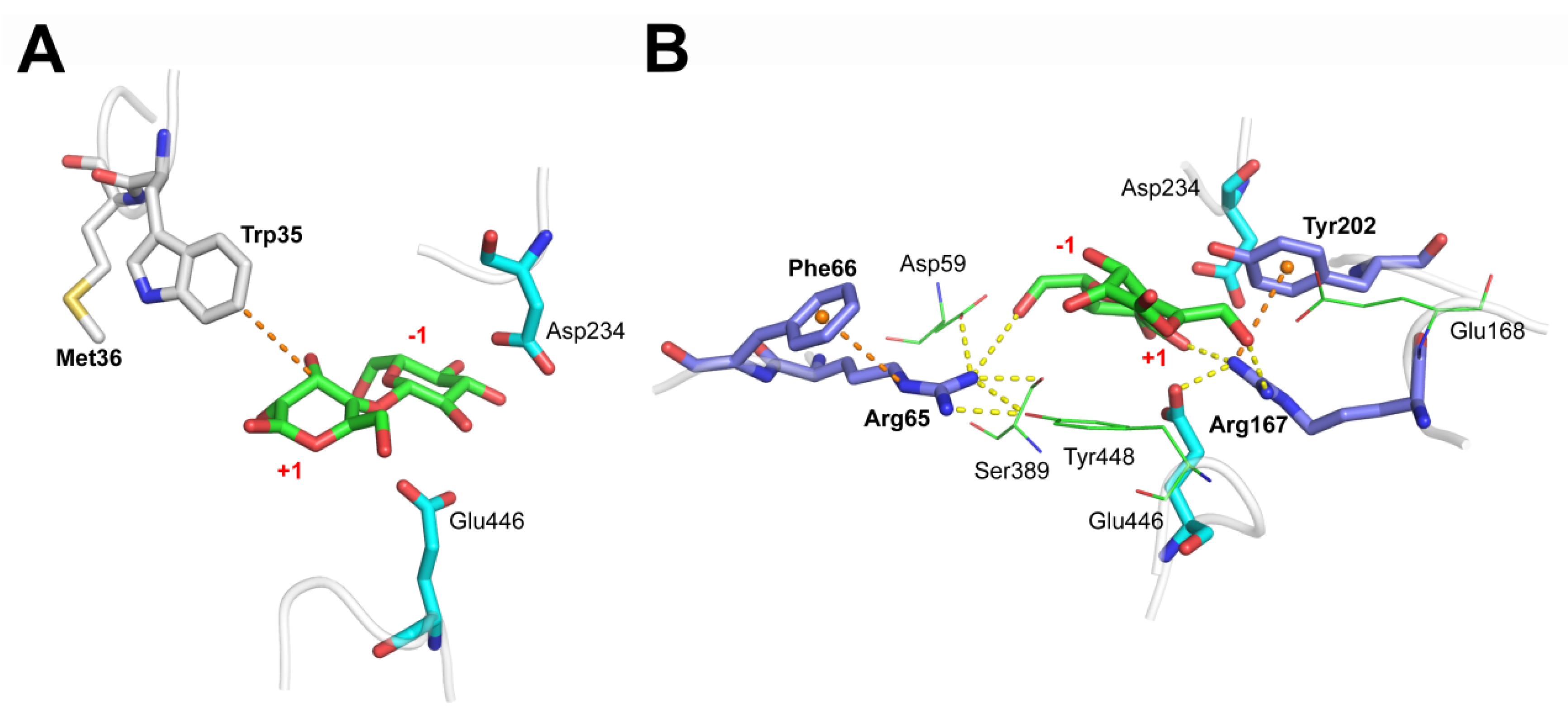 Biomolecules 11 01882 g002