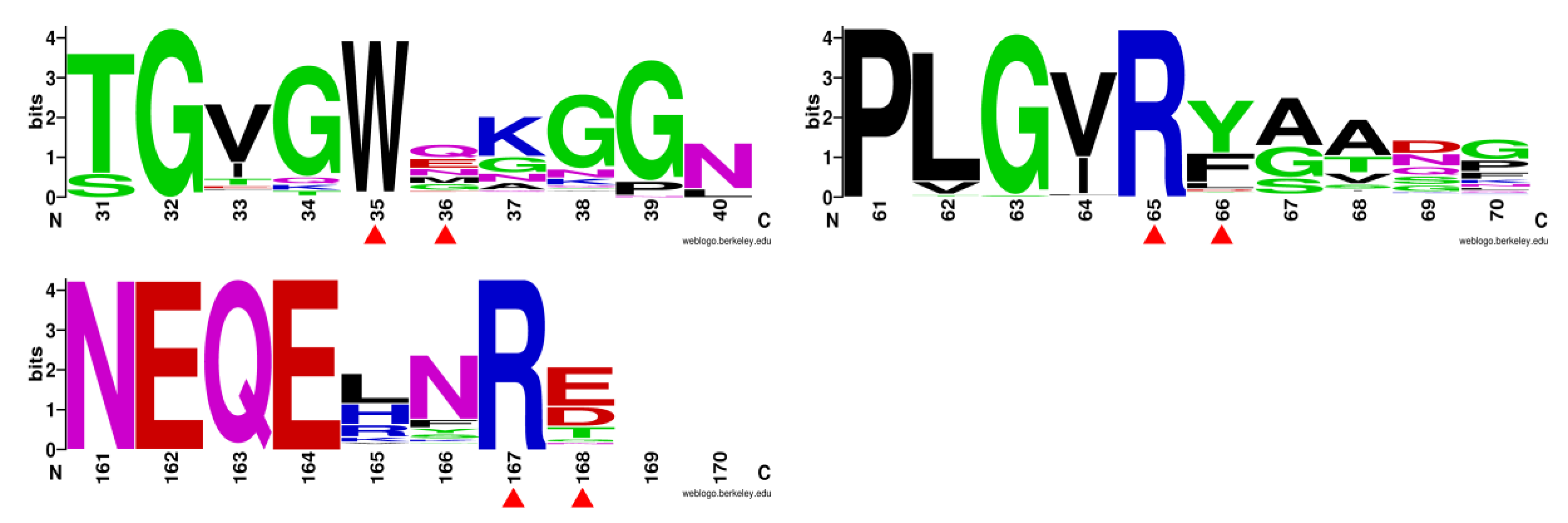 Biomolecules 11 01882 g004