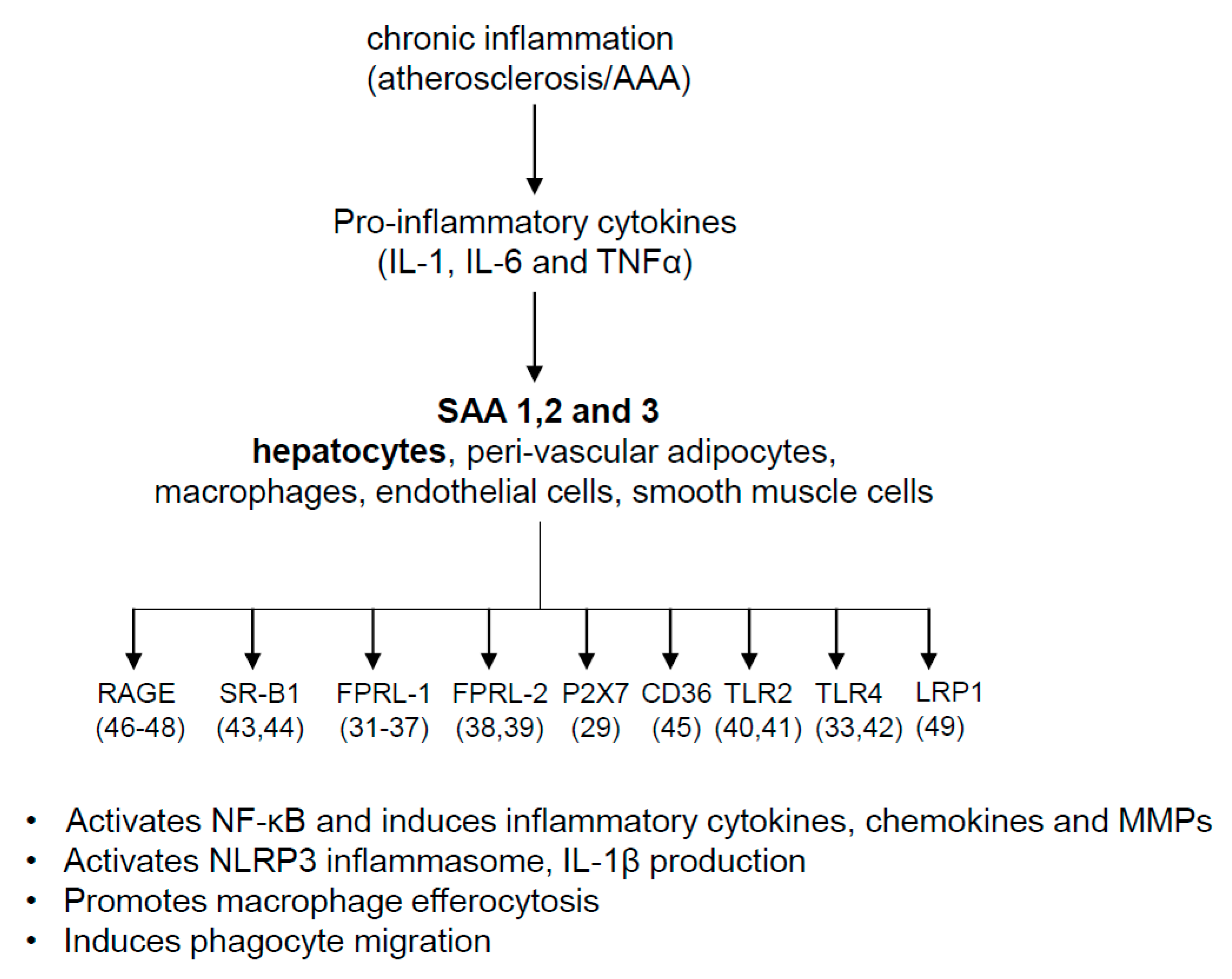 Biomolecules 11 01883 g002