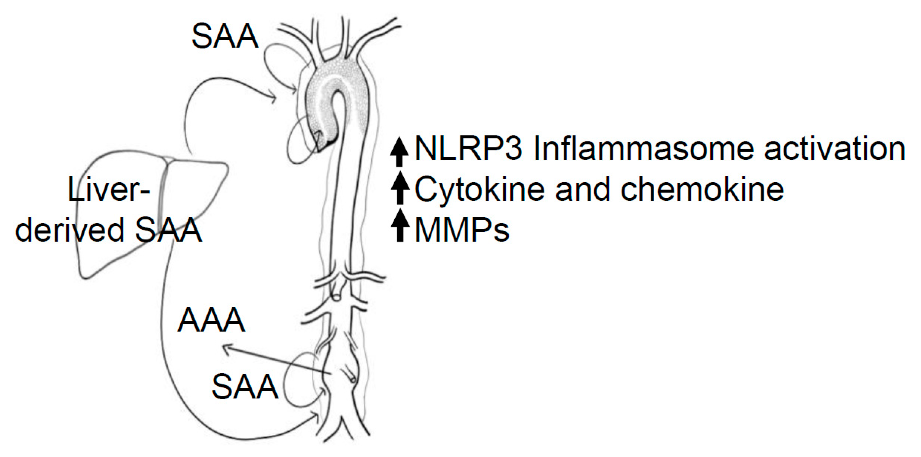 Biomolecules 11 01883 g003