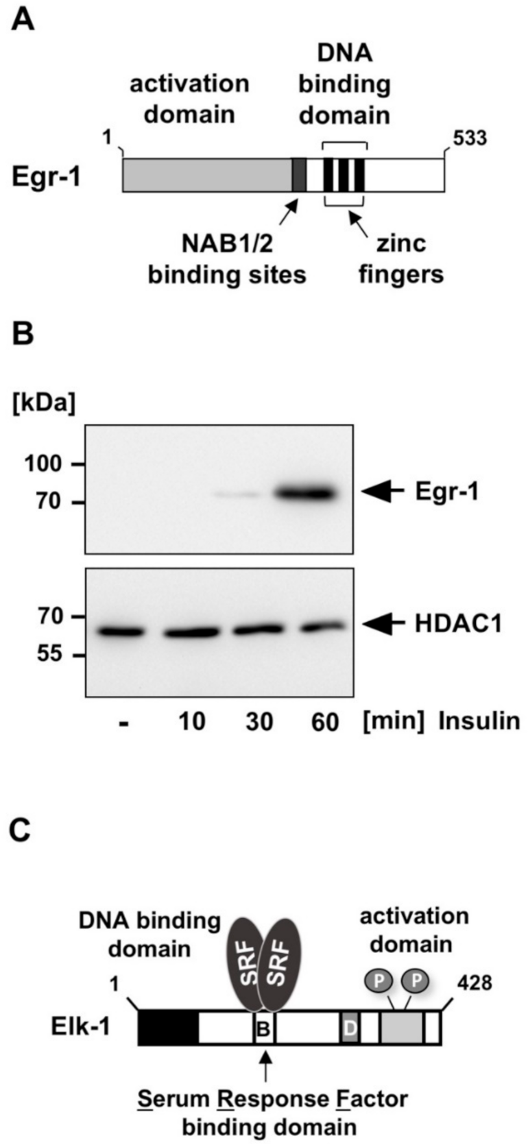 Biomolecules 11 01886 g002