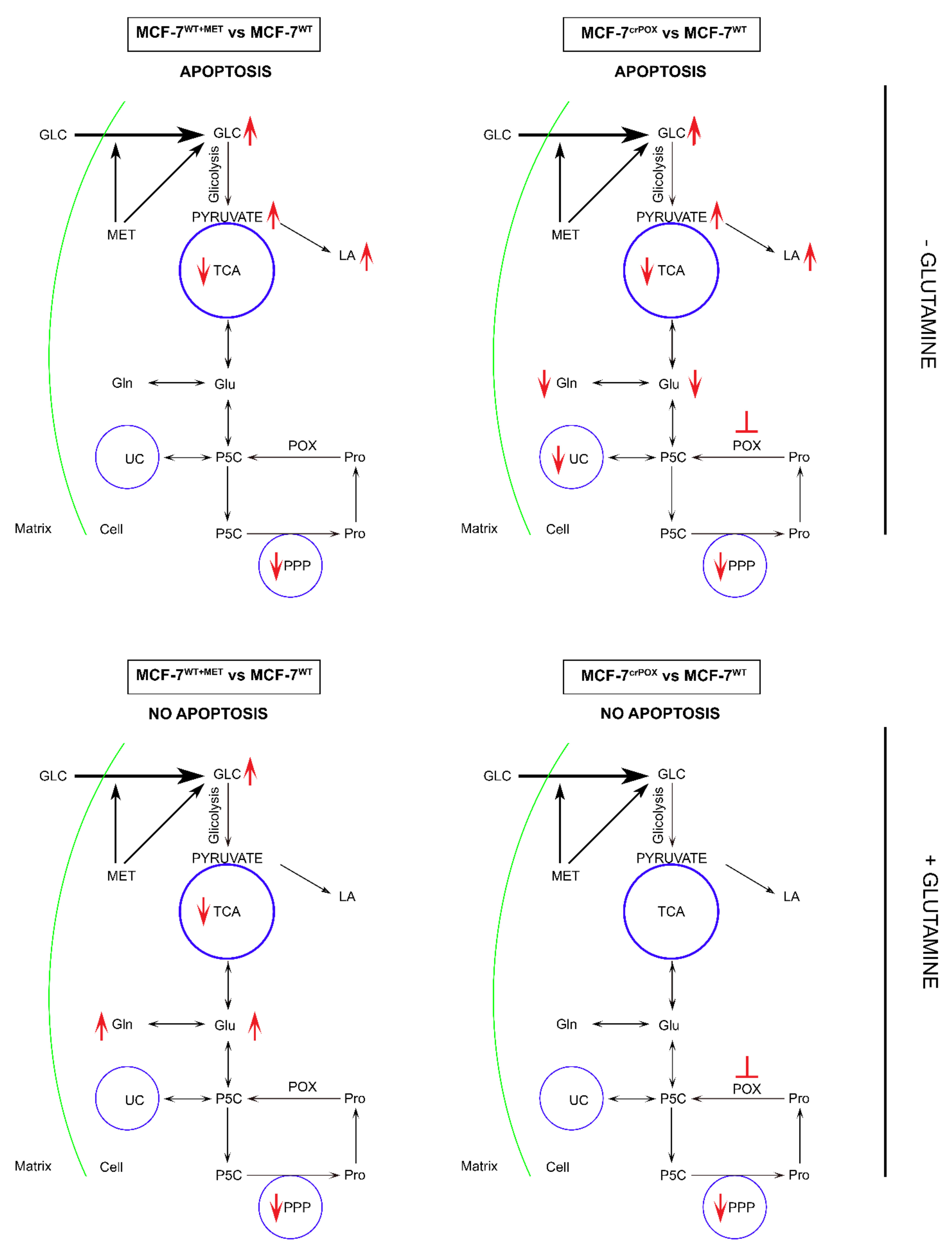 Biomolecules 11 01888 g003 550