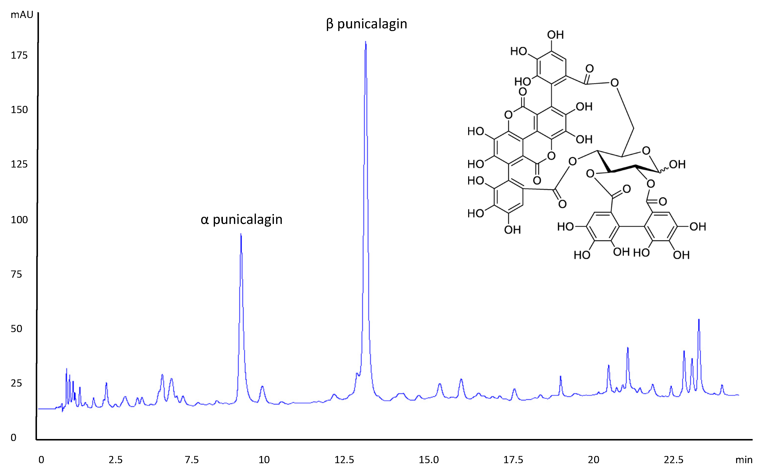 Biomolecules 11 01889 g001 550