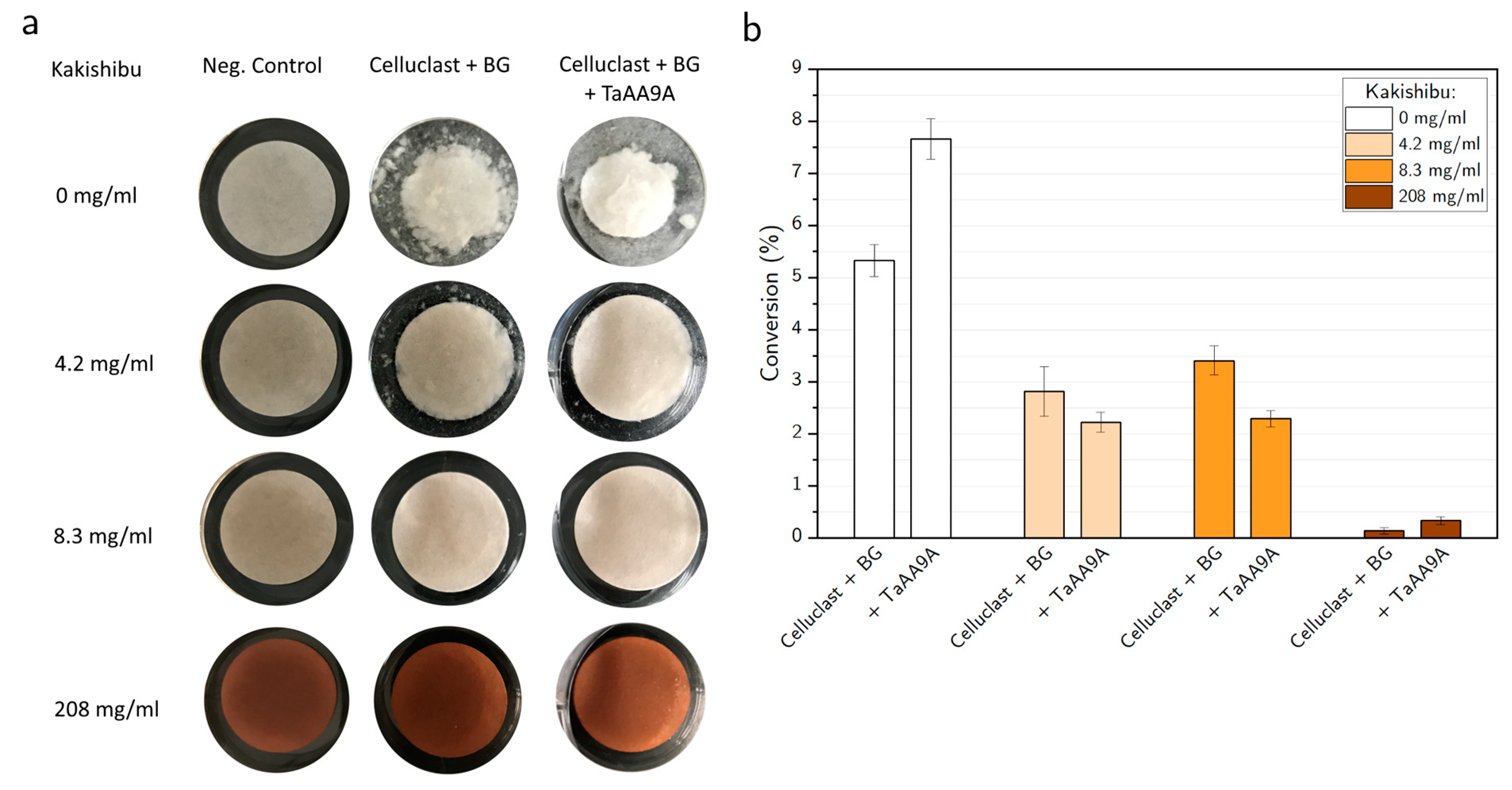 Biomolecules 11 01890 g001