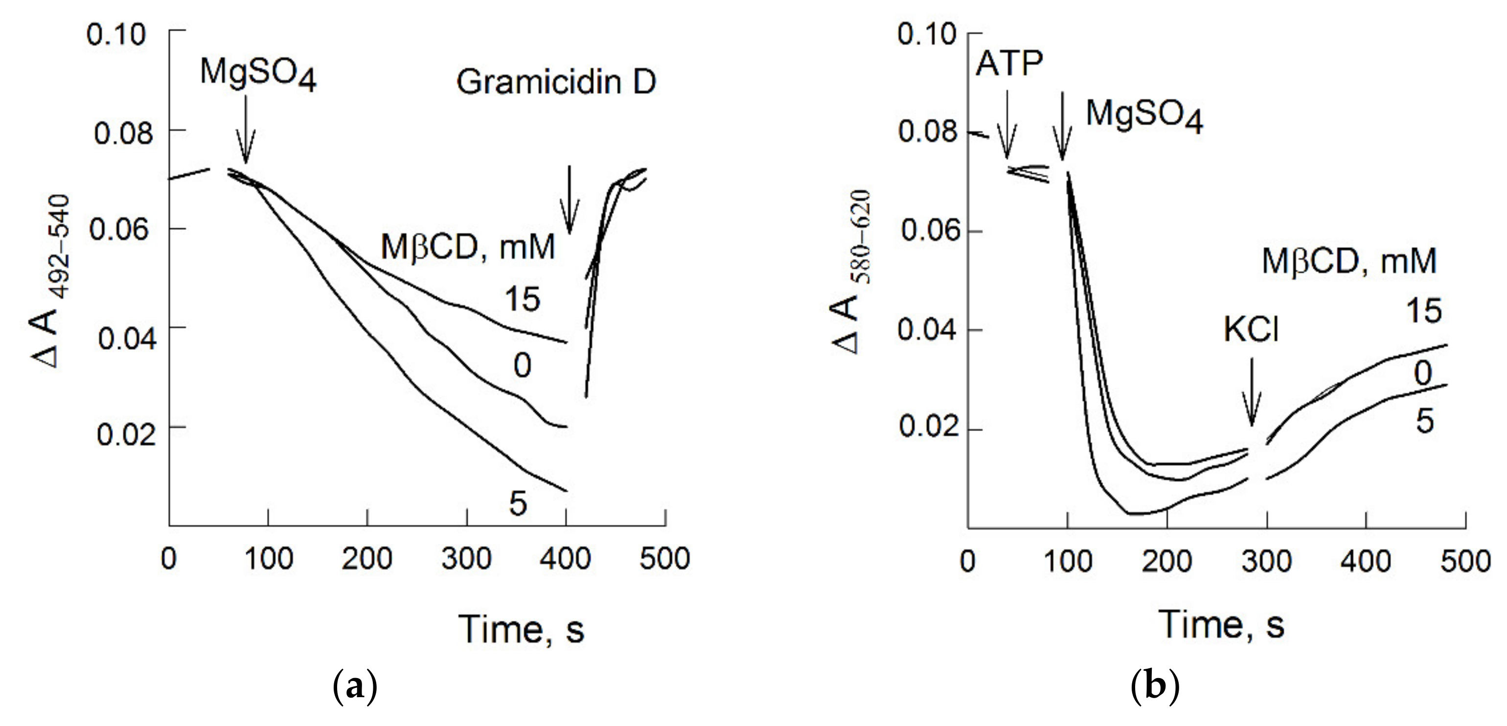 Biomolecules 11 01891 g004
