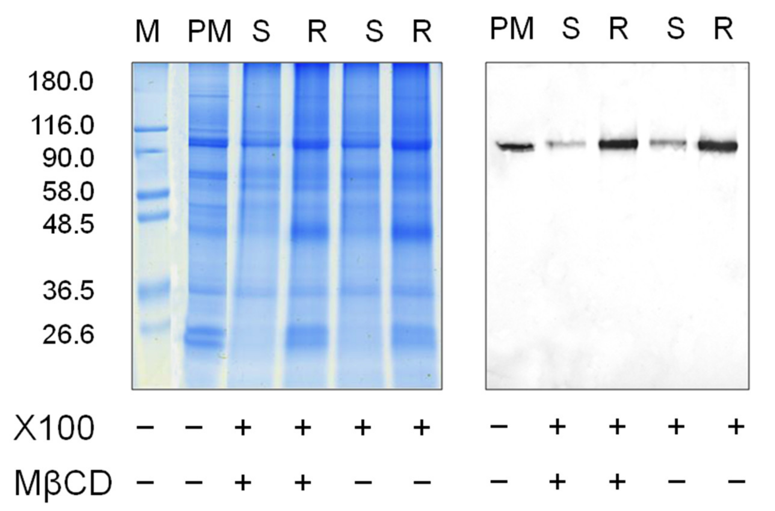 Biomolecules 11 01891 g007