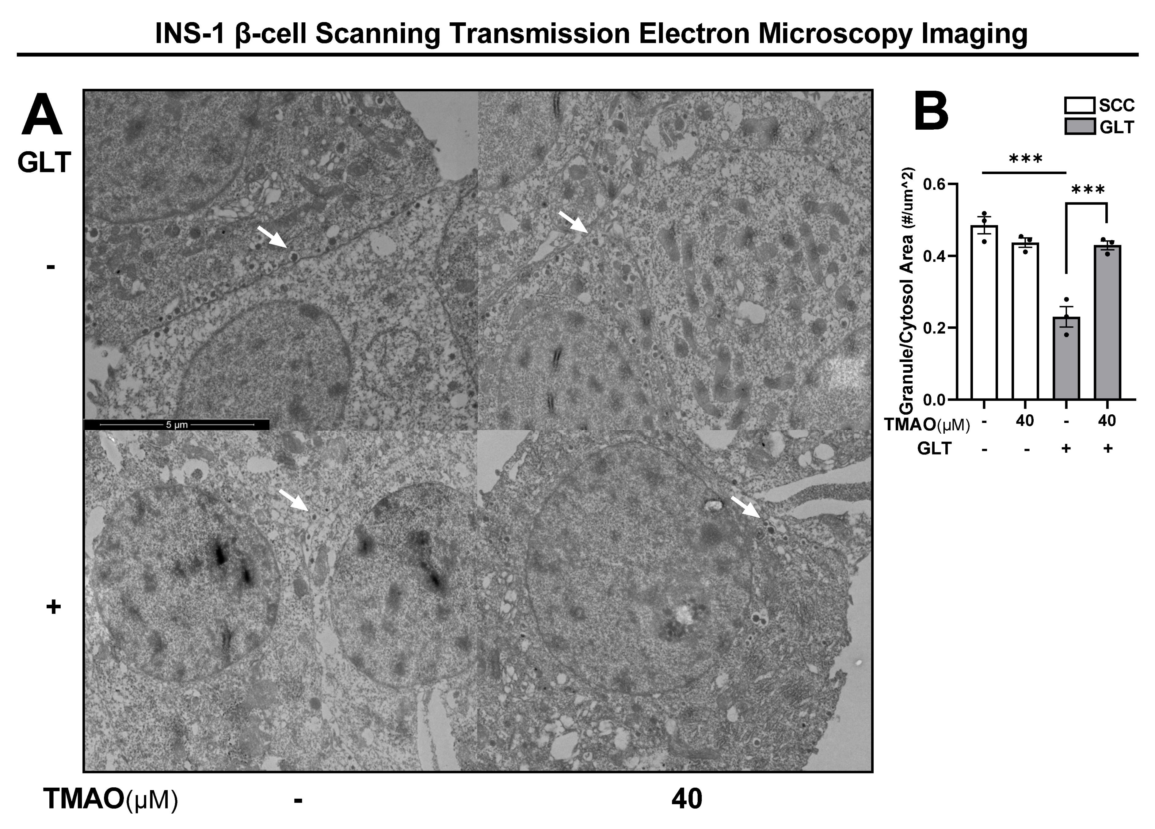 Biomolecules 11 01892 g003