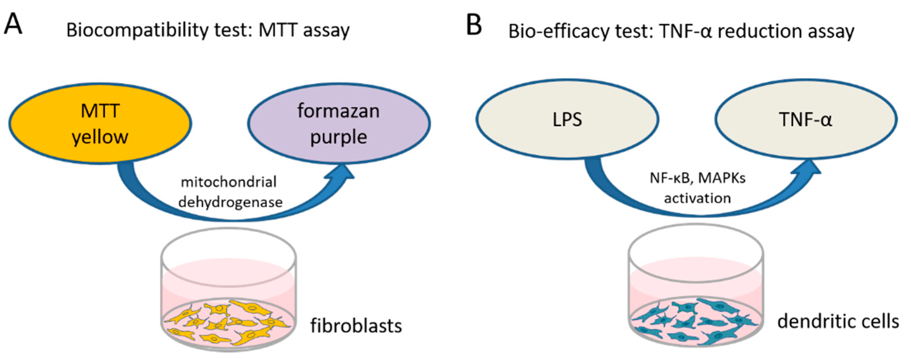 Biomolecules 11 01896 g001