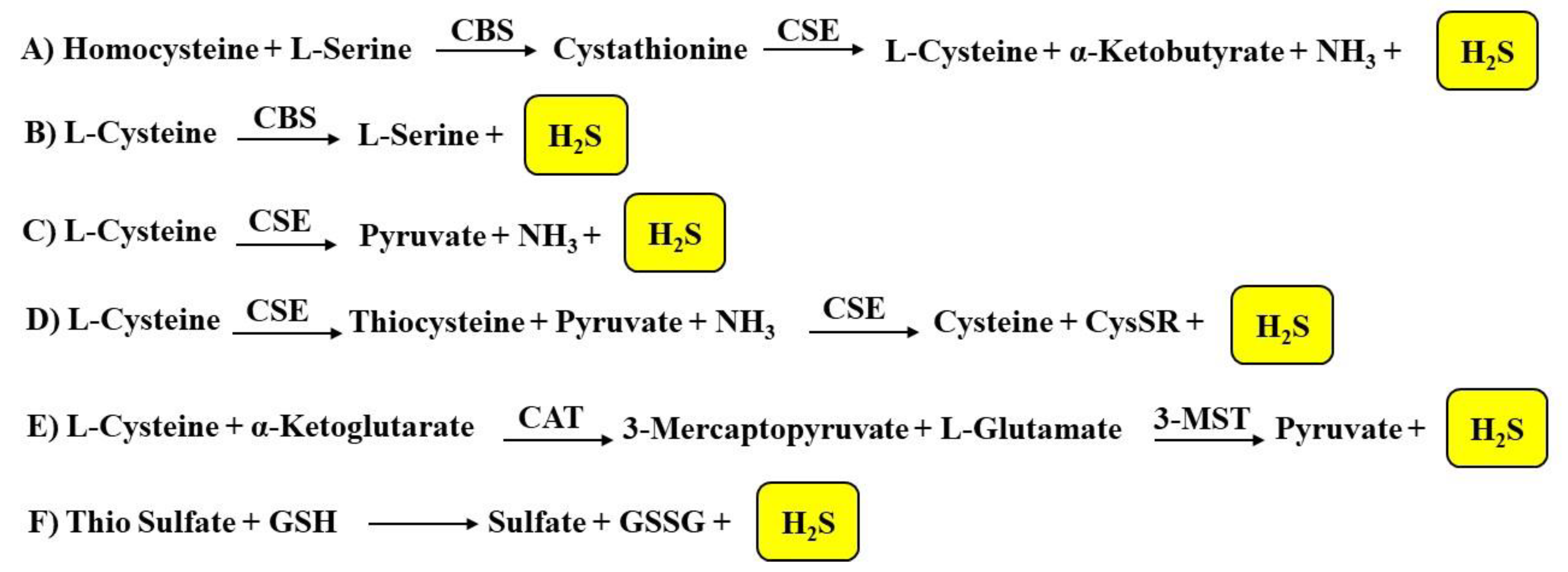 Biomolecules 11 01899 g001