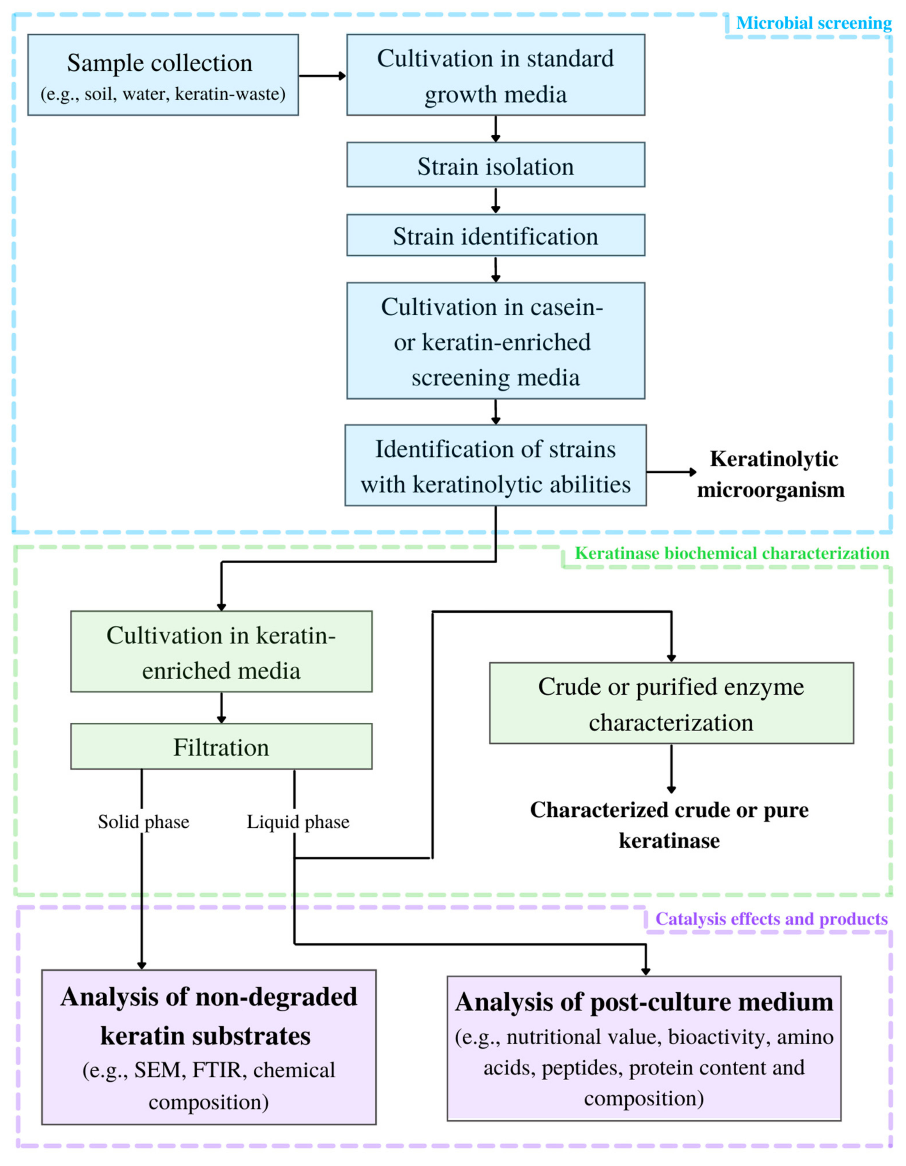 Biomolecules 11 01900 g001 Biomolecules 11 01900 g001