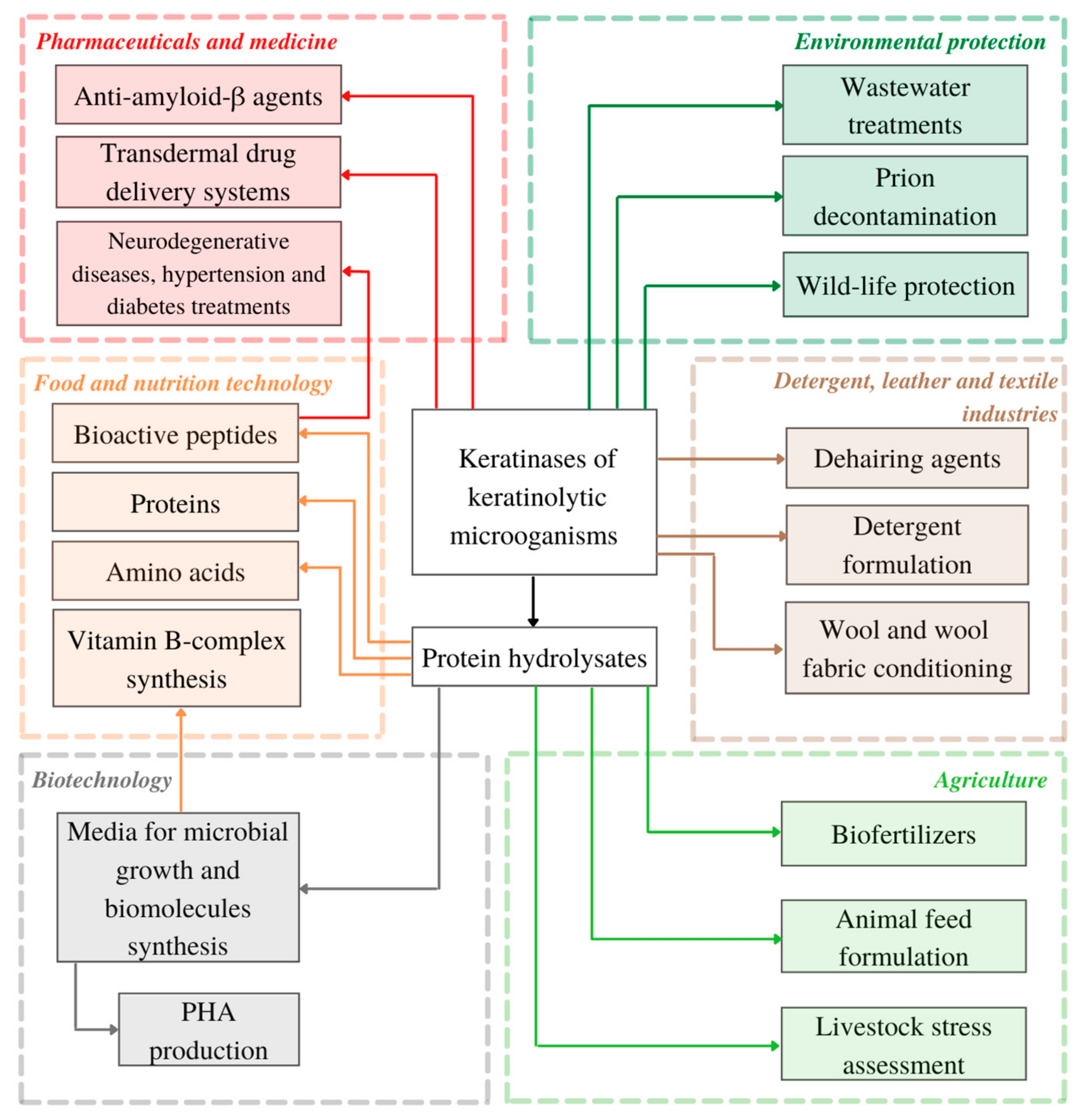 Biomolecules 11 01900 g002 Biomolecules 11 01900 g002