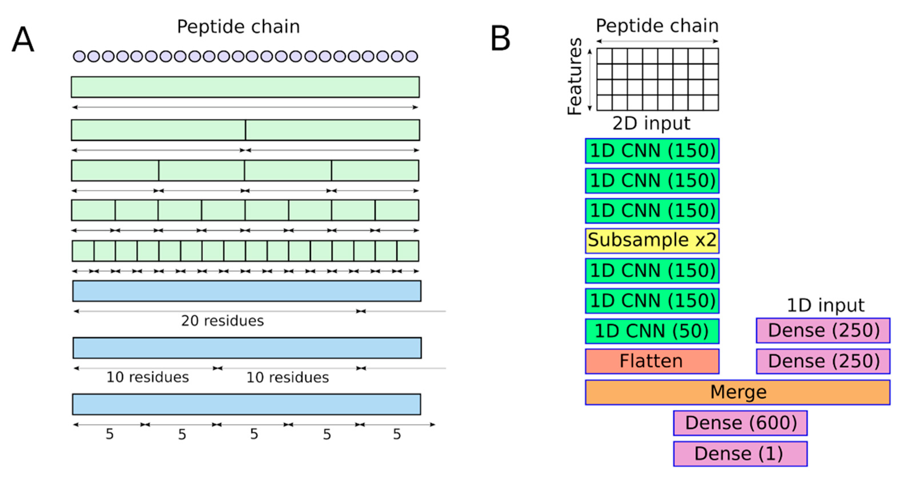 Biomolecules 11 01904 g001