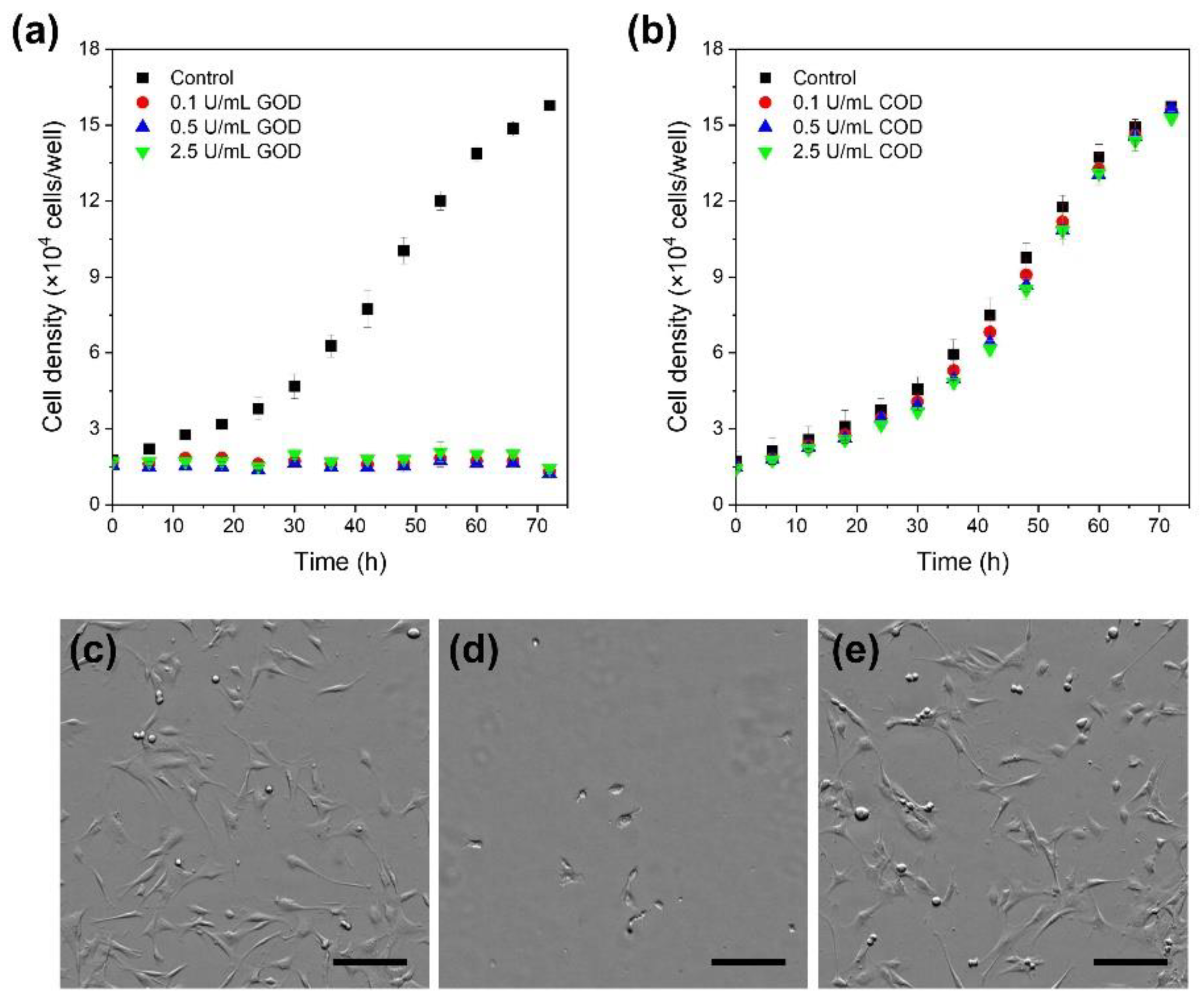 Biomolecules 11 01908 g002