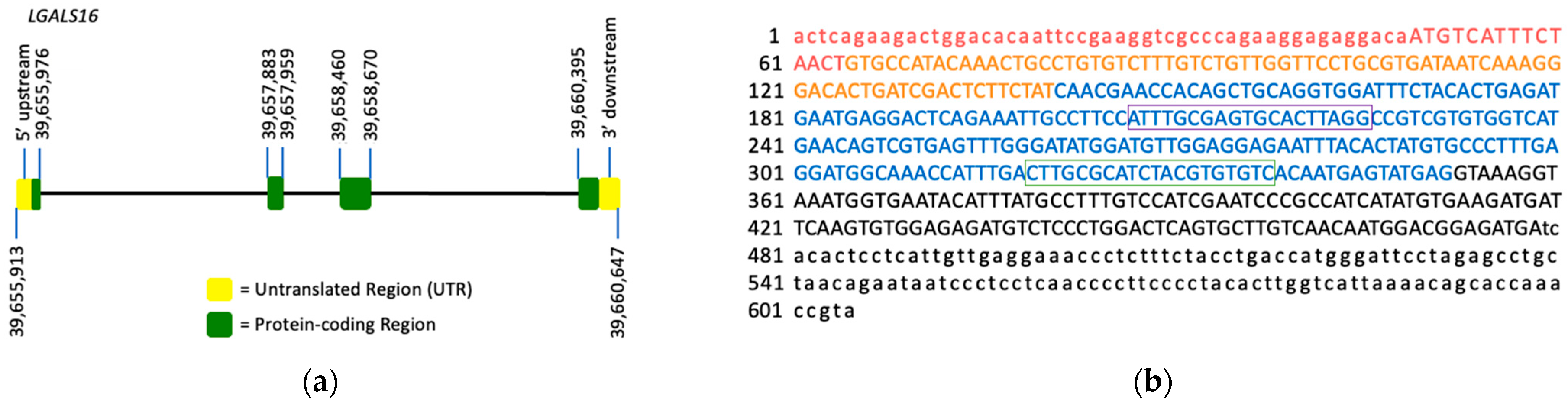 Biomolecules 11 01909 g001 550