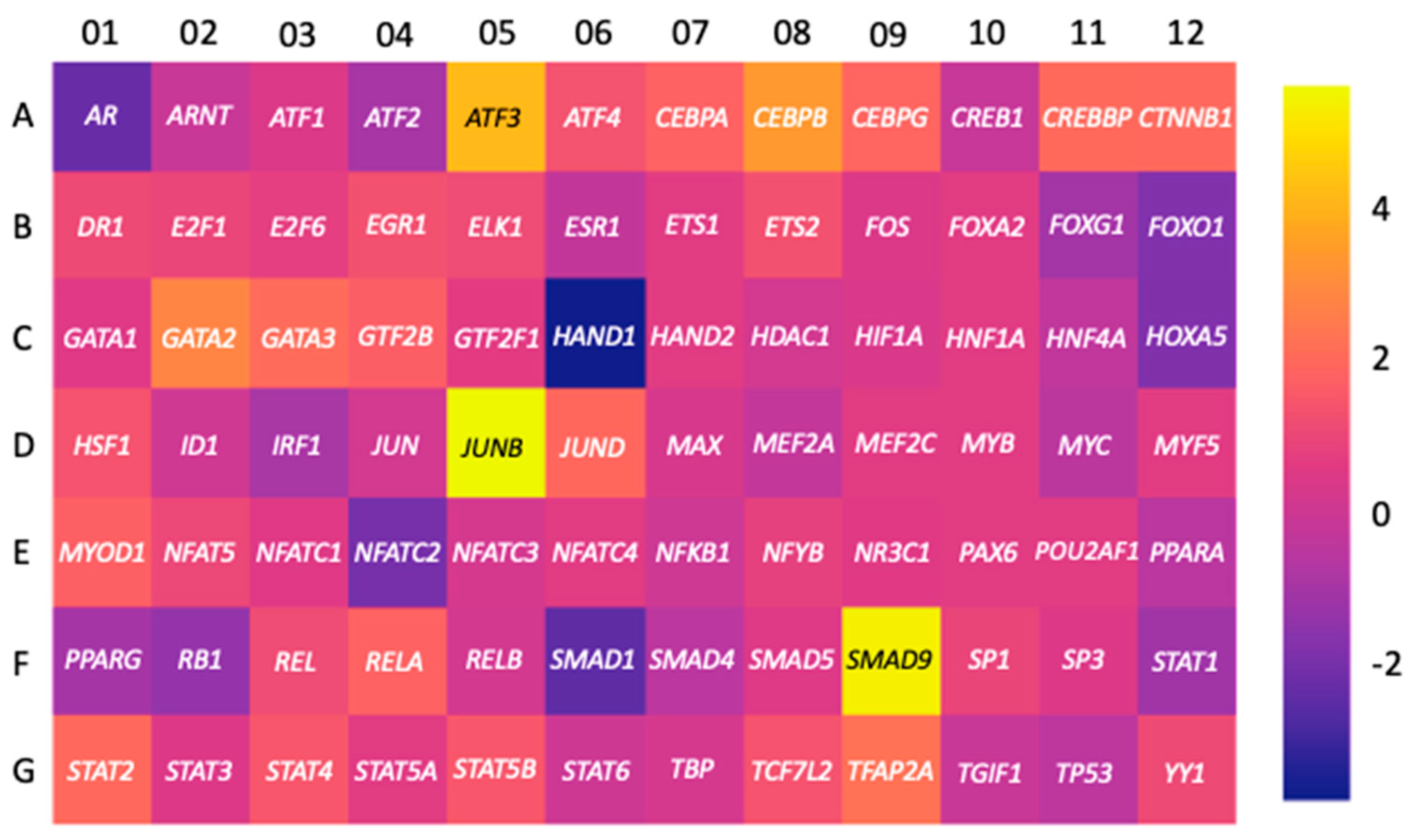 Biomolecules 11 01909 g005 550