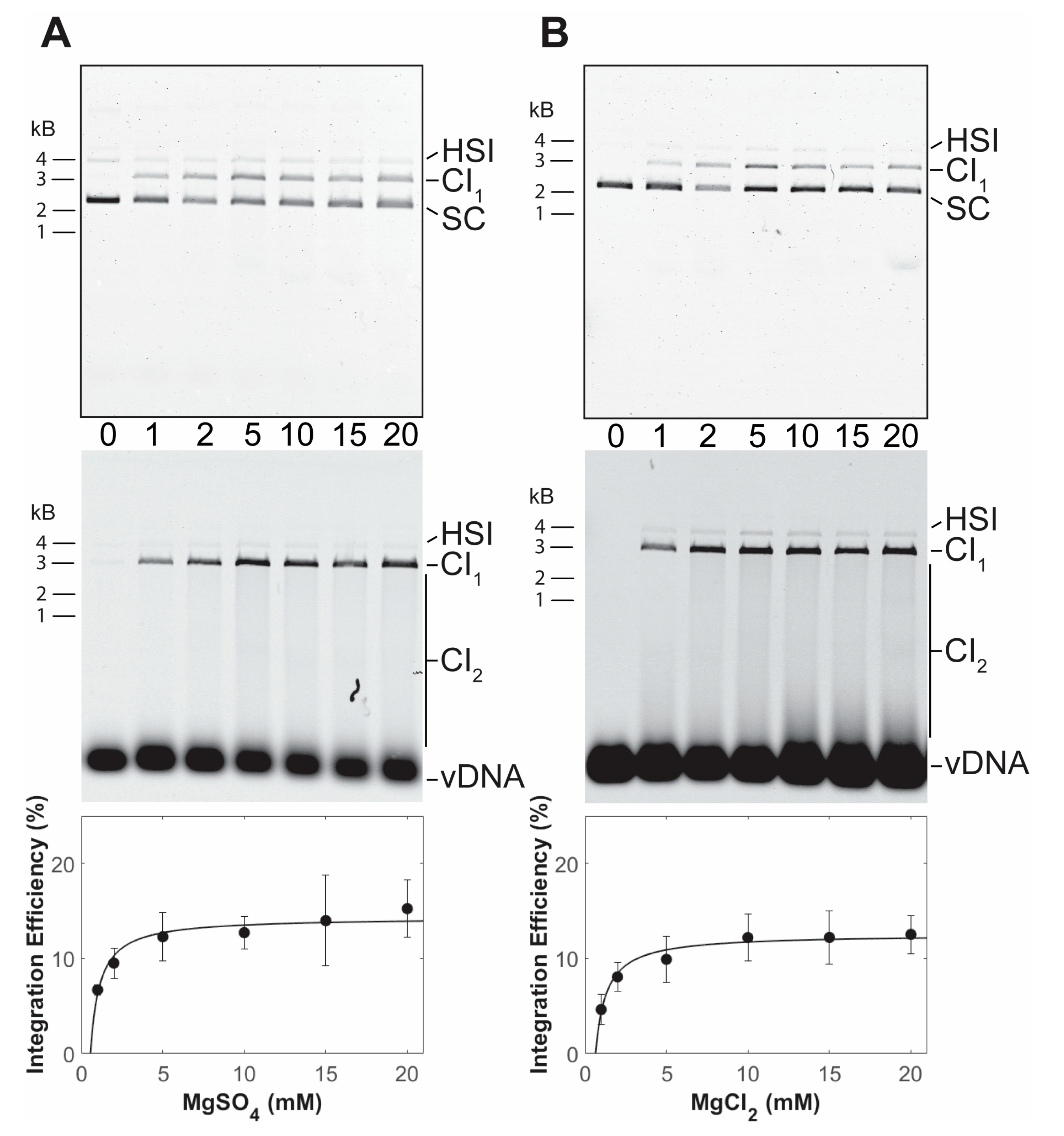 Biomolecules 11 01910 g002 Biomolecules 11 01910 g002