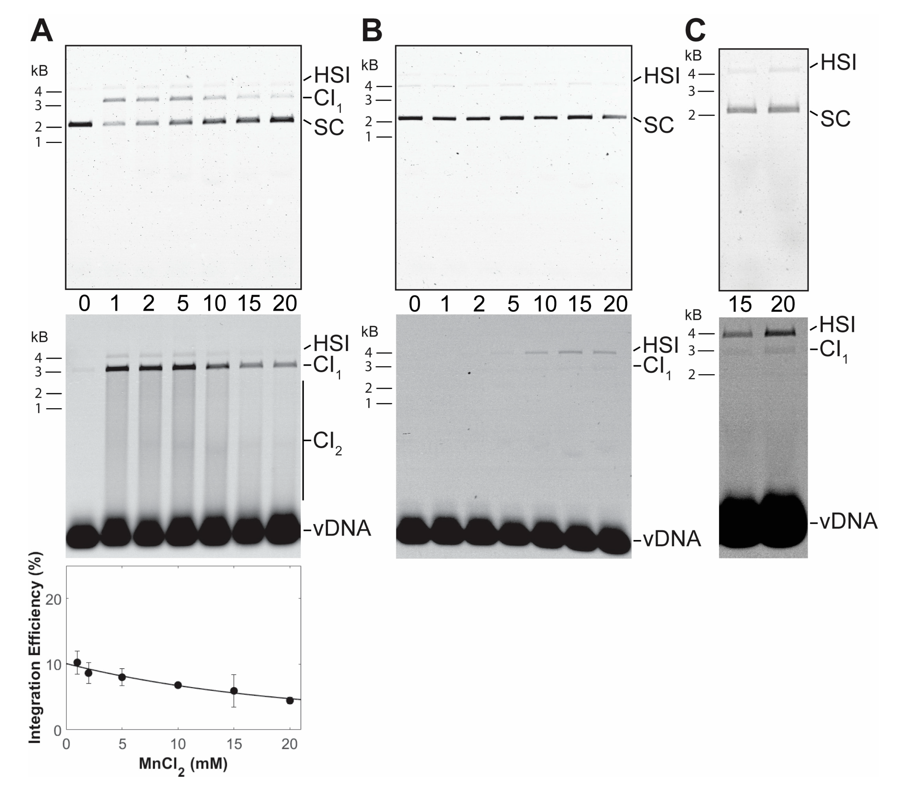 Biomolecules 11 01910 g003 Biomolecules 11 01910 g003