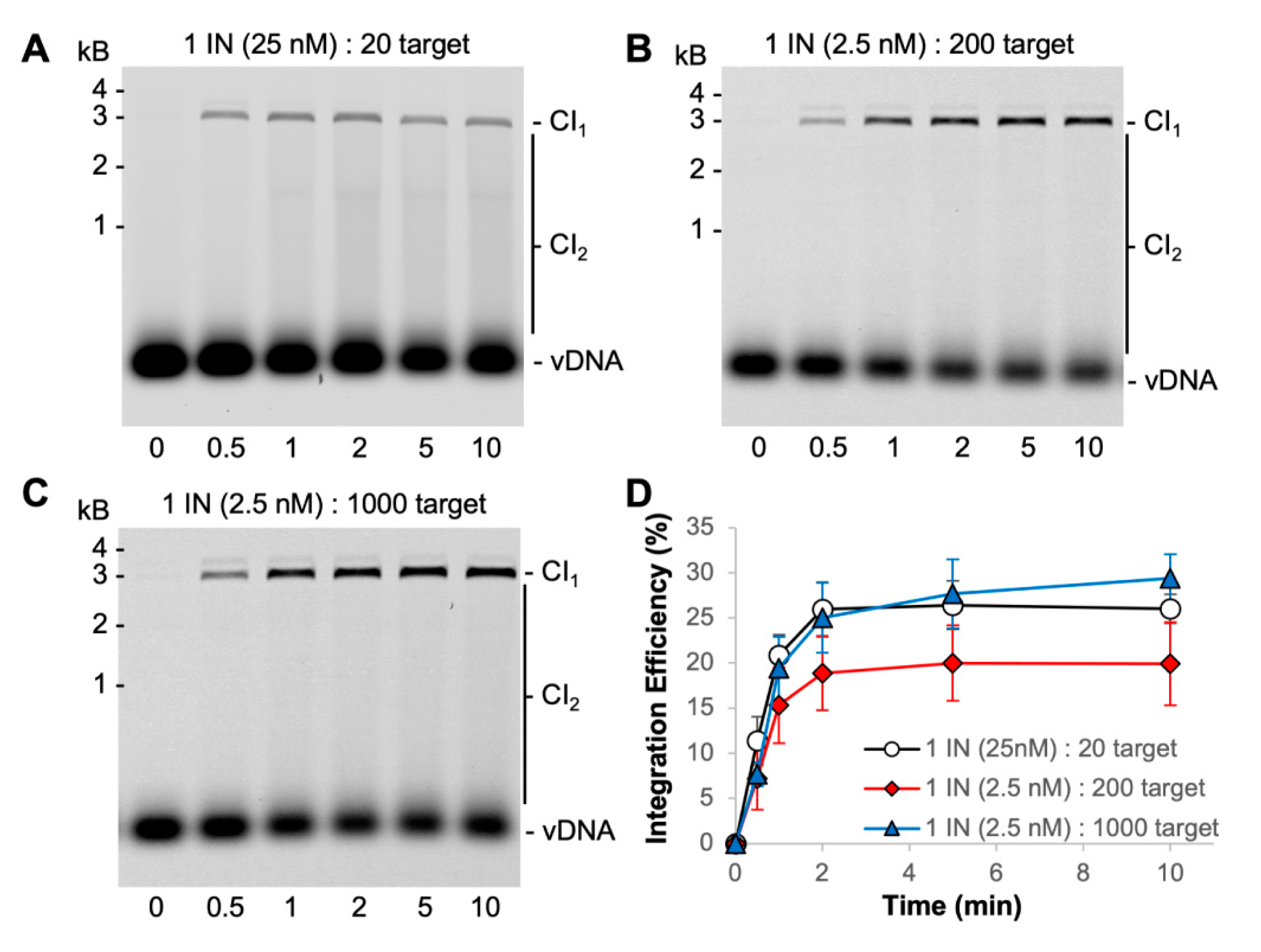 Biomolecules 11 01910 g004 Biomolecules 11 01910 g004