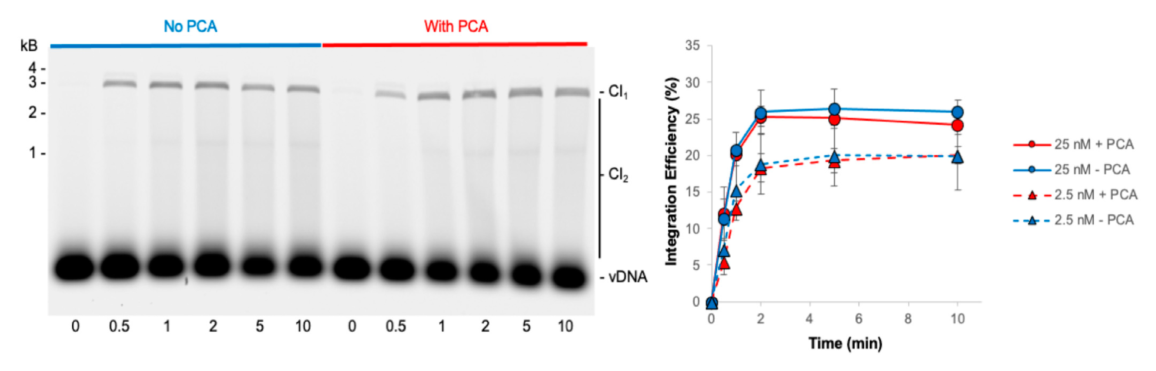 Biomolecules 11 01910 g005 Biomolecules 11 01910 g005