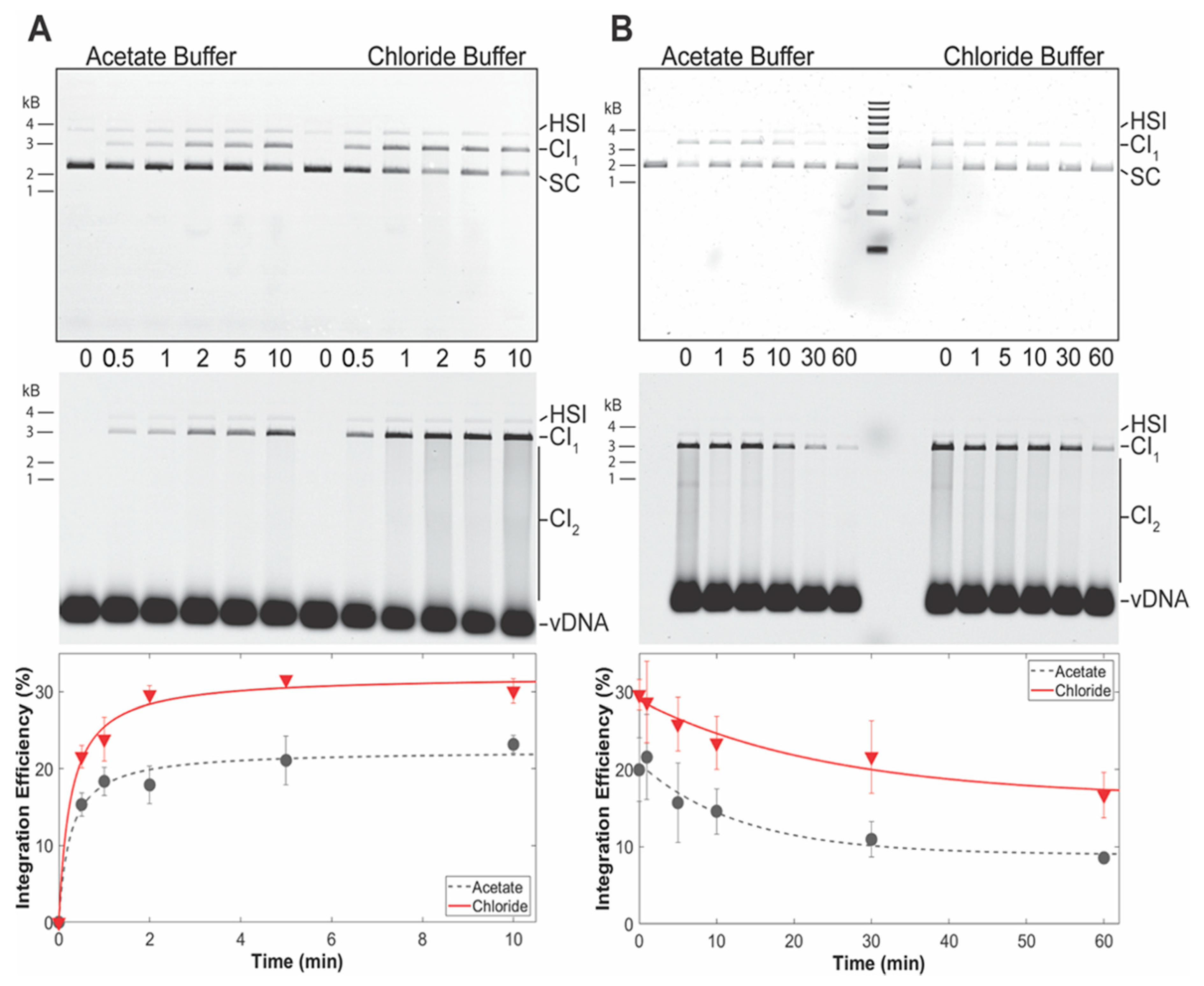 Biomolecules 11 01910 g006 Biomolecules 11 01910 g006
