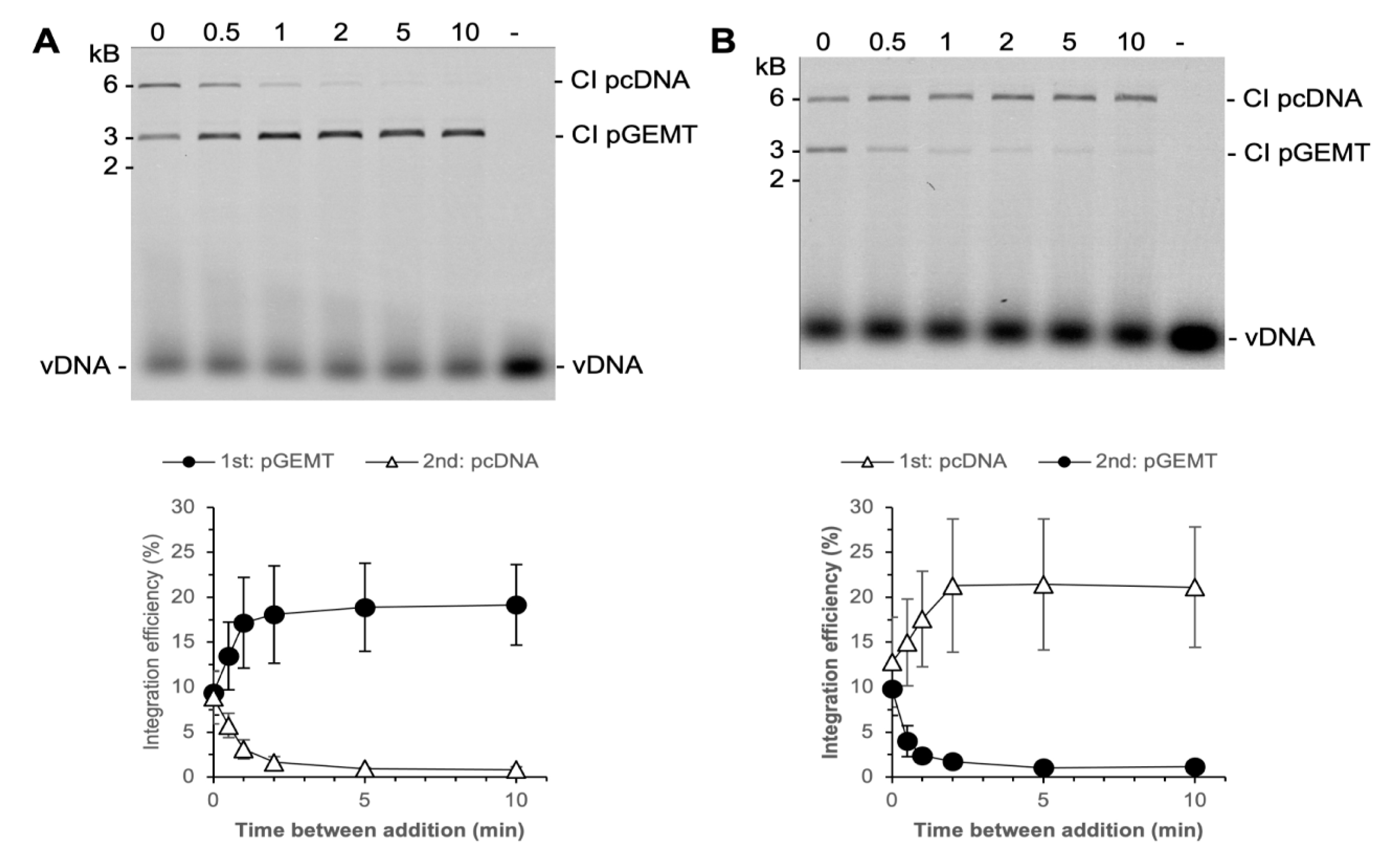 Biomolecules 11 01910 g007 Biomolecules 11 01910 g007