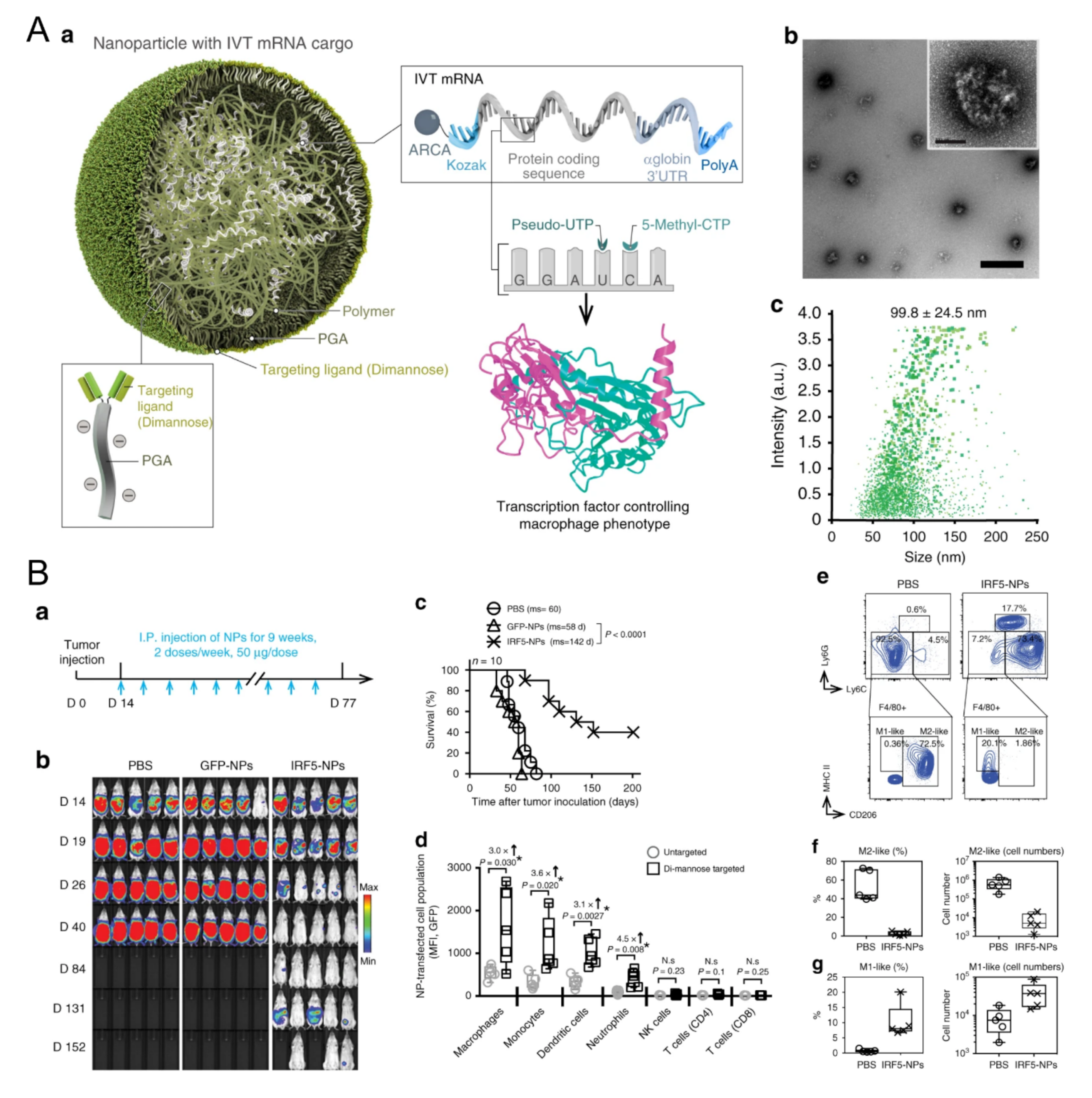 Biomolecules 11 01912 g001