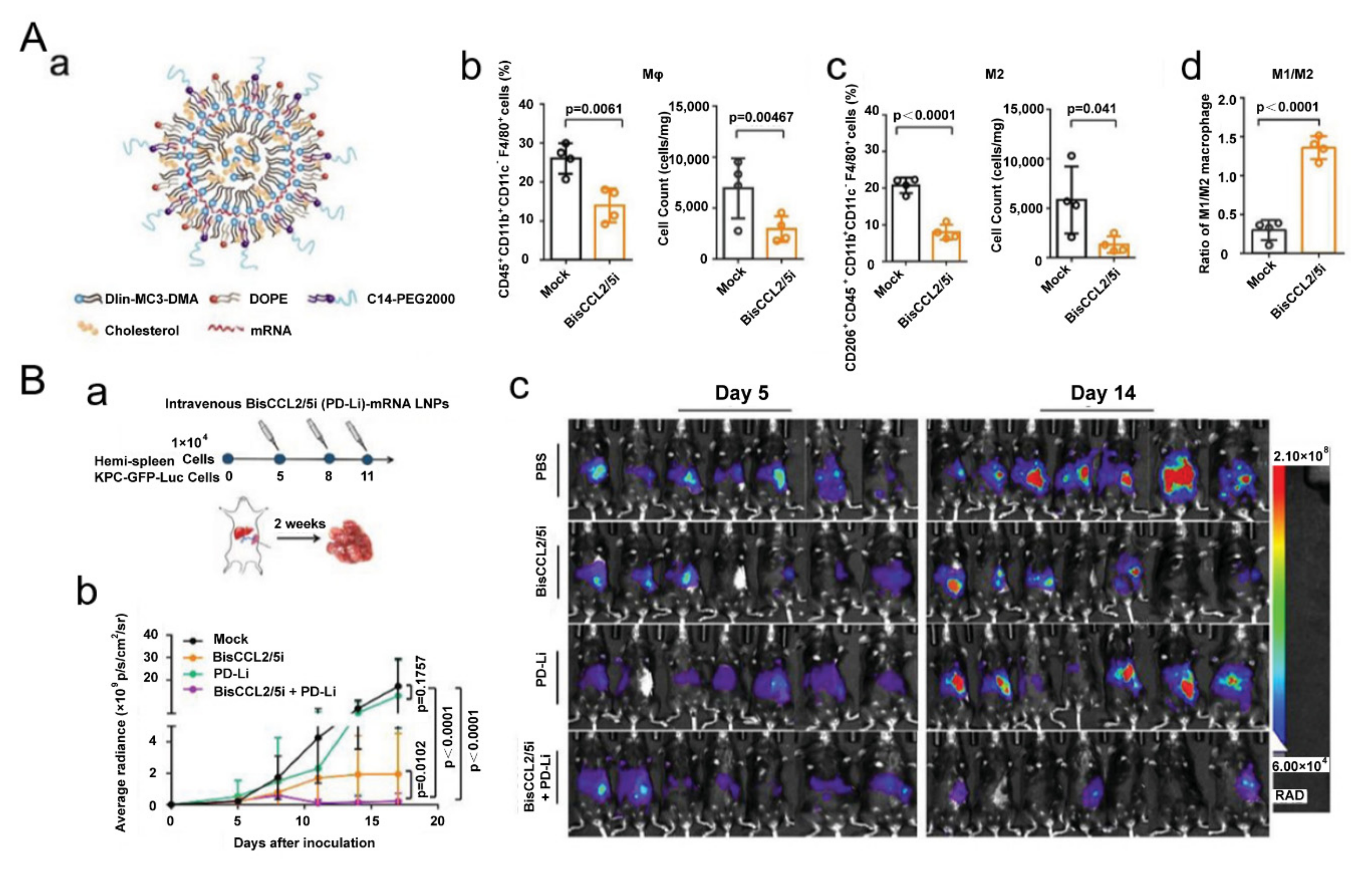 Biomolecules 11 01912 g002