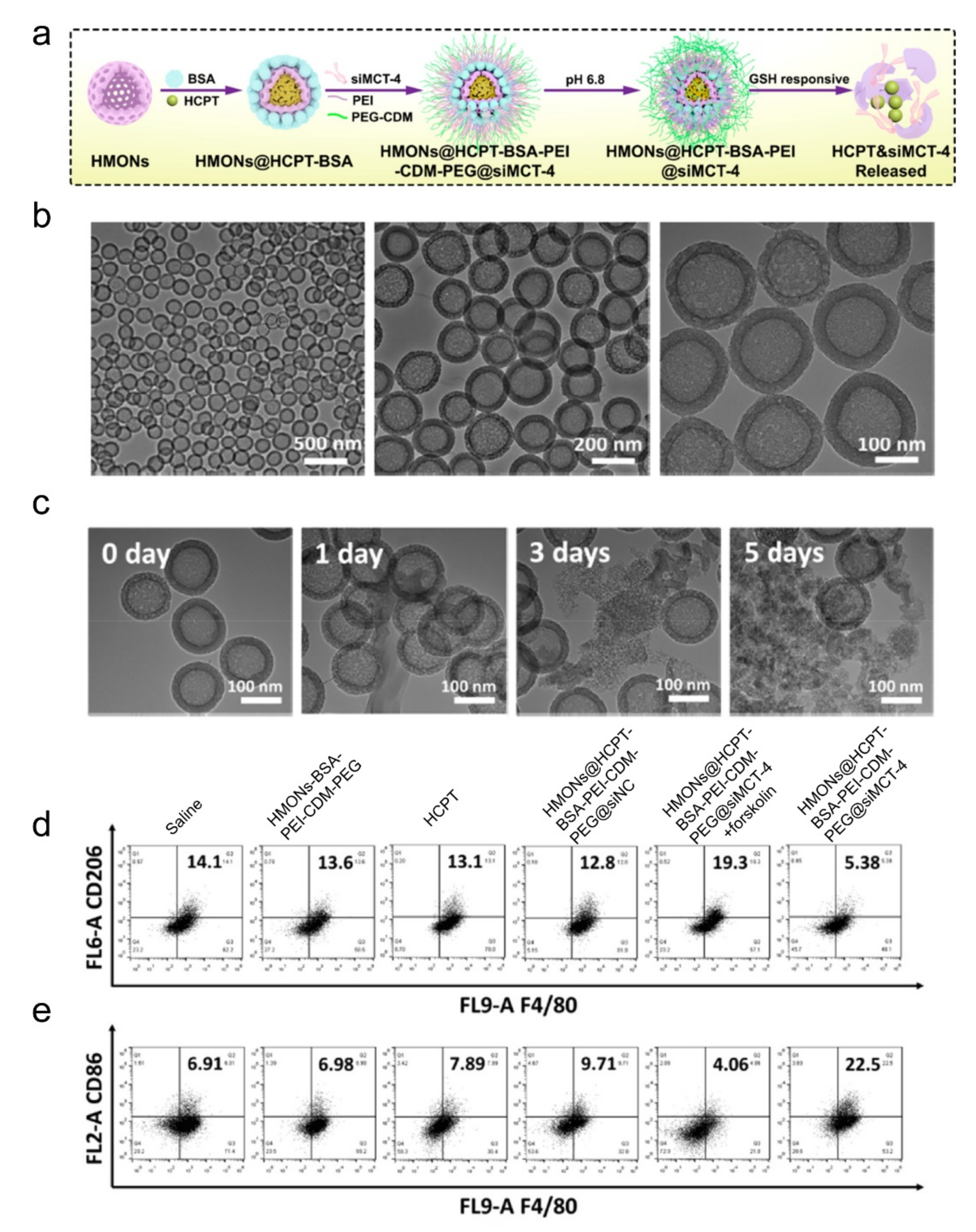 Biomolecules 11 01912 g003