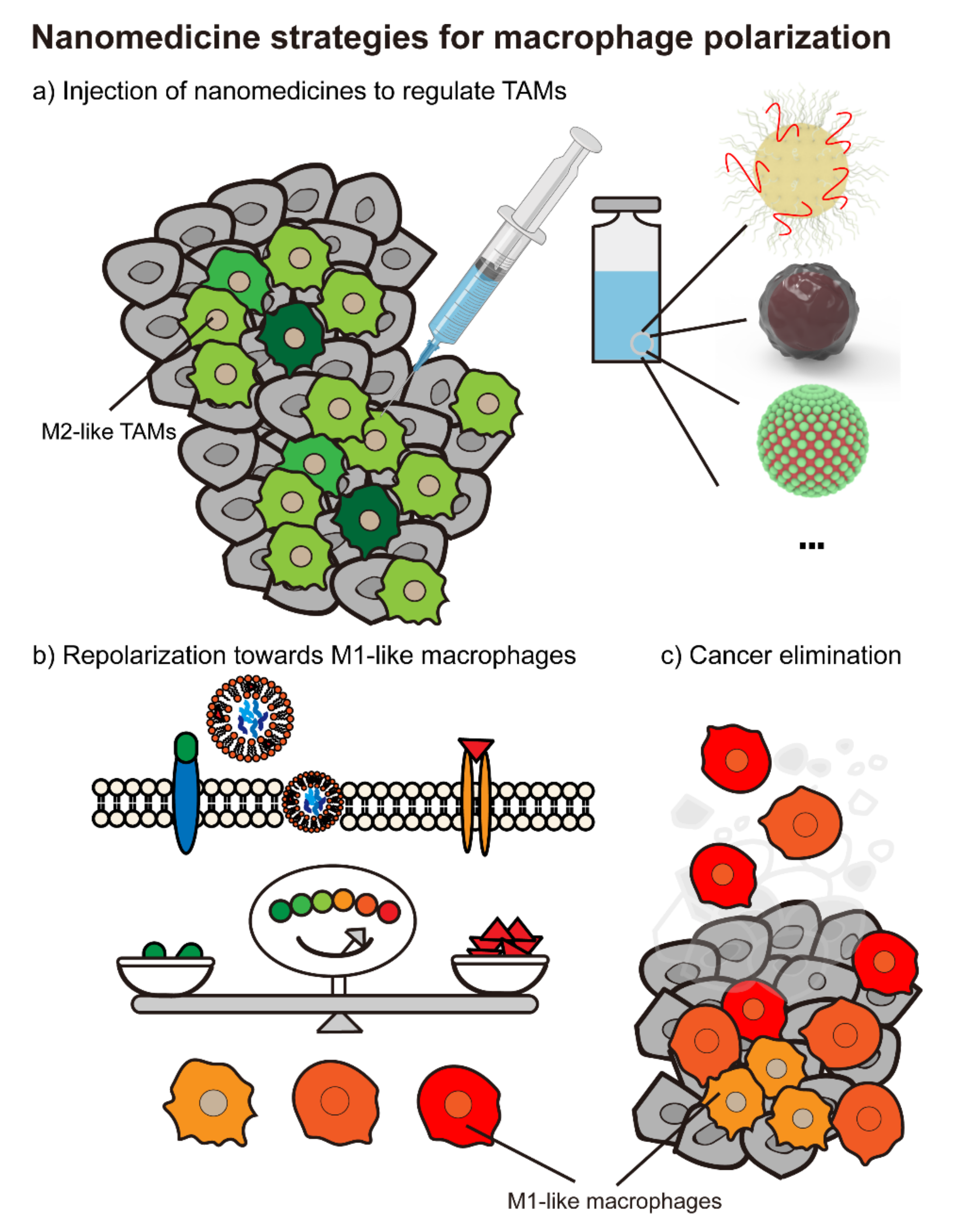 Biomolecules 11 01912 g004