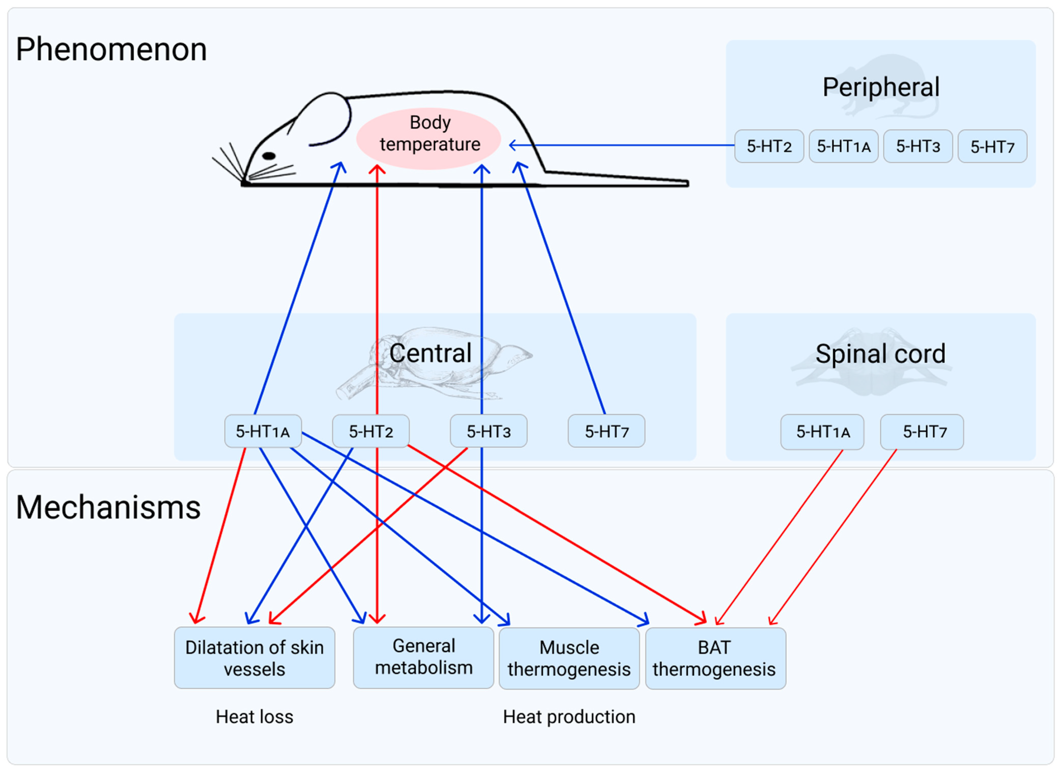 Biomolecules 11 01914 g001 Biomolecules 11 01914 g001