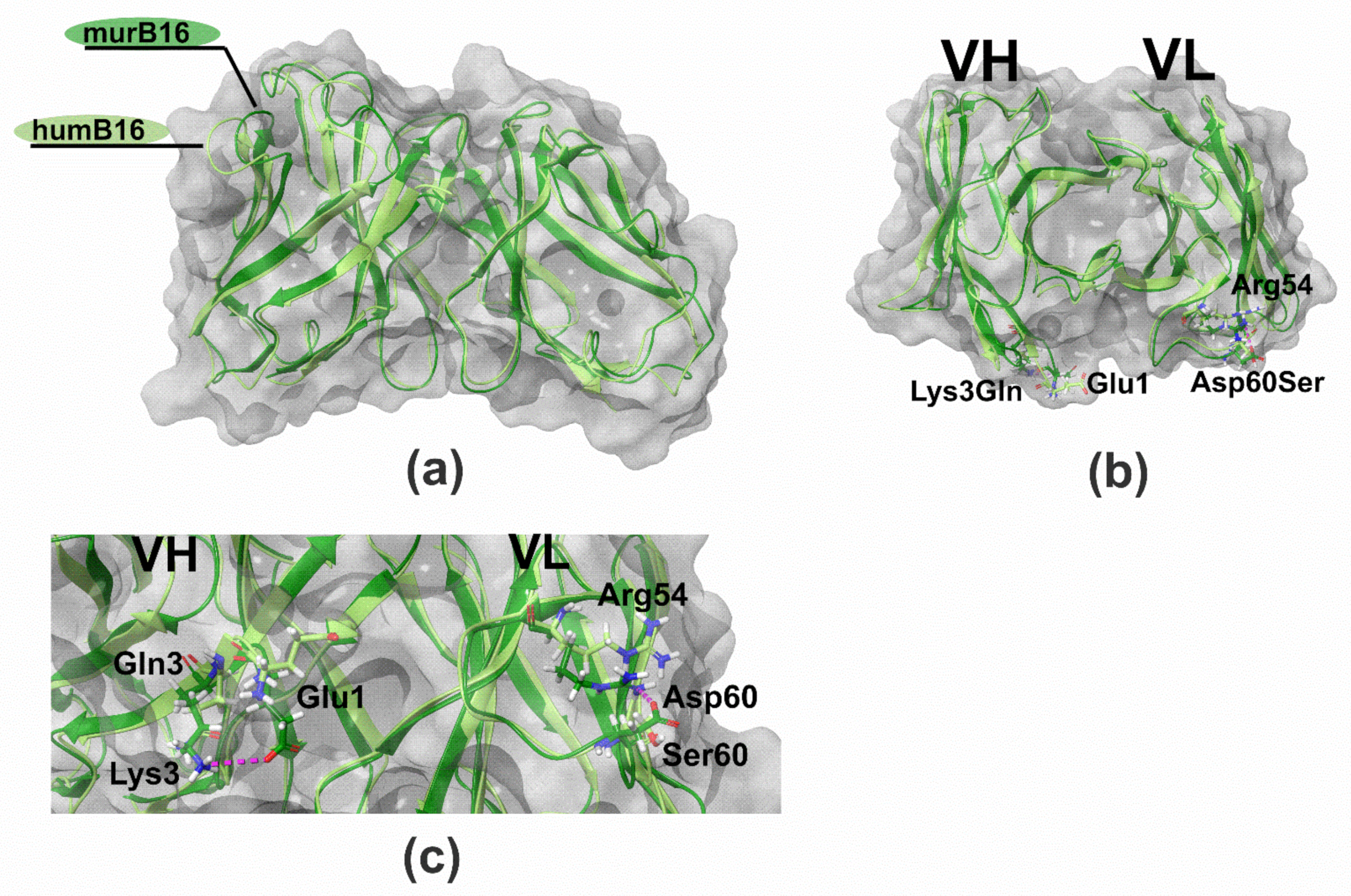 Biomolecules 11 01915 g010