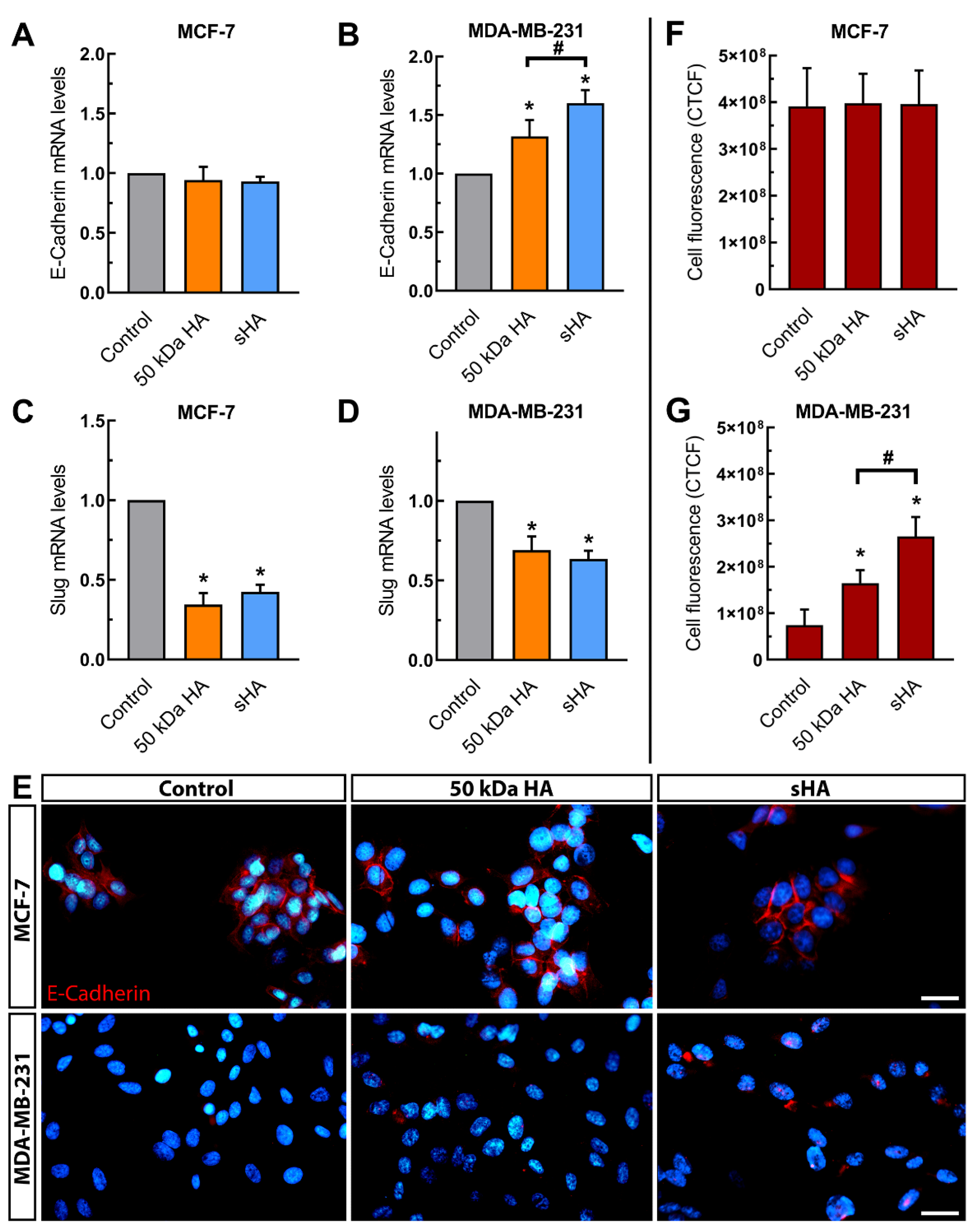 Biomolecules 11 01916 g003 Biomolecules 11 01916 g003