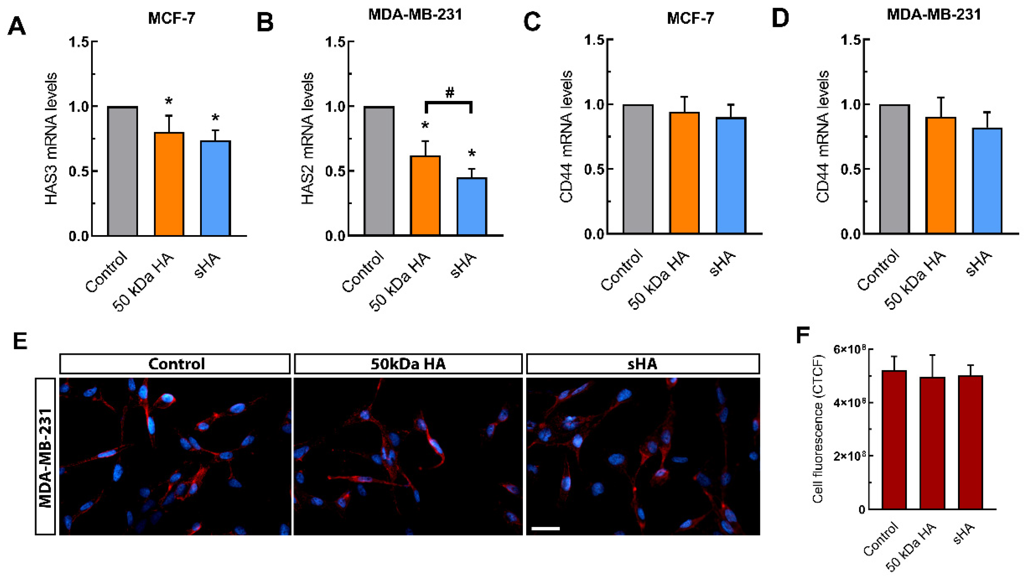 Biomolecules 11 01916 g005 Biomolecules 11 01916 g005