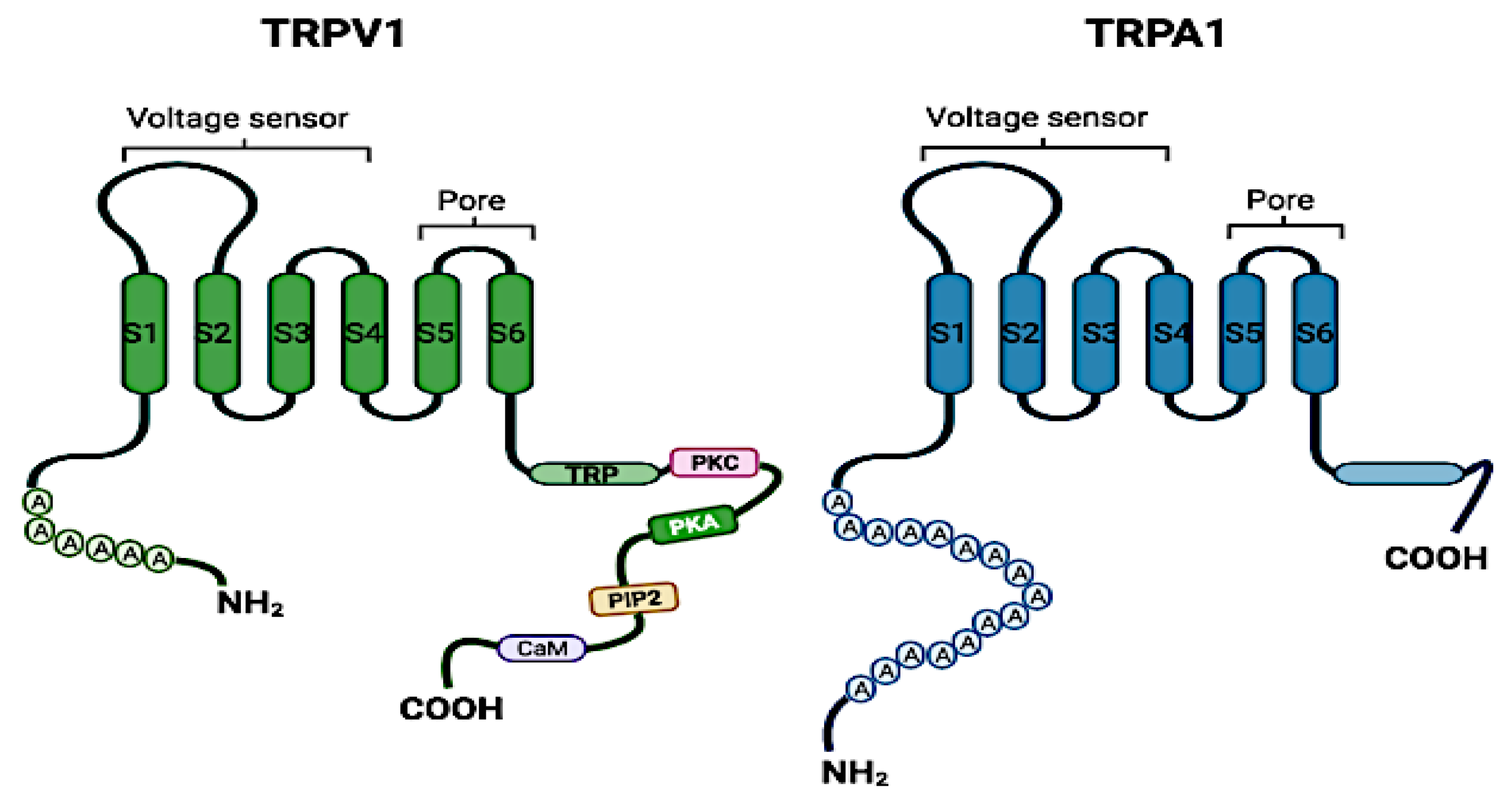 Biomolecules 12 00001 g001 Biomolecules 12 00001 g001