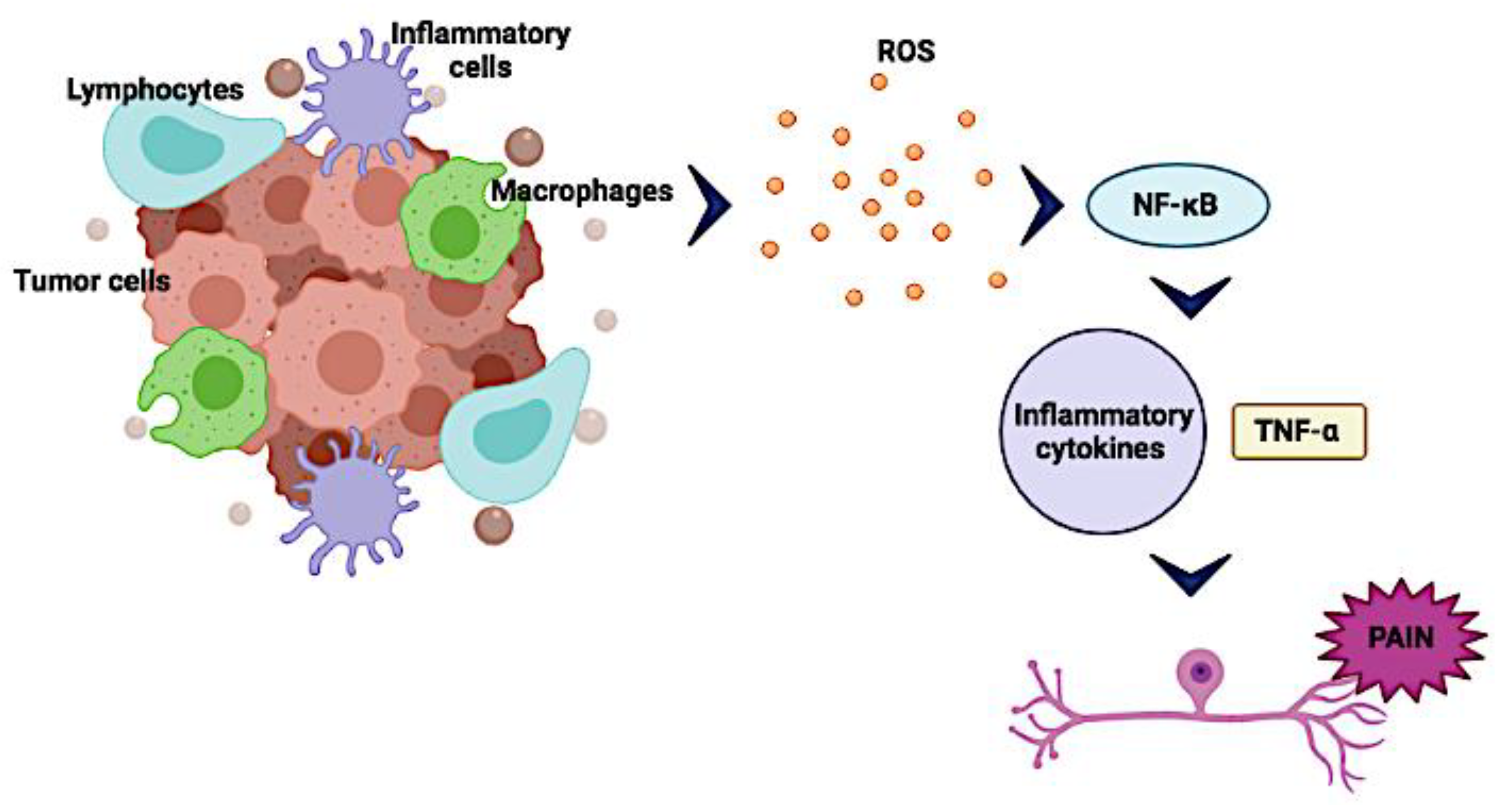 Biomolecules 12 00001 g002 Biomolecules 12 00001 g002