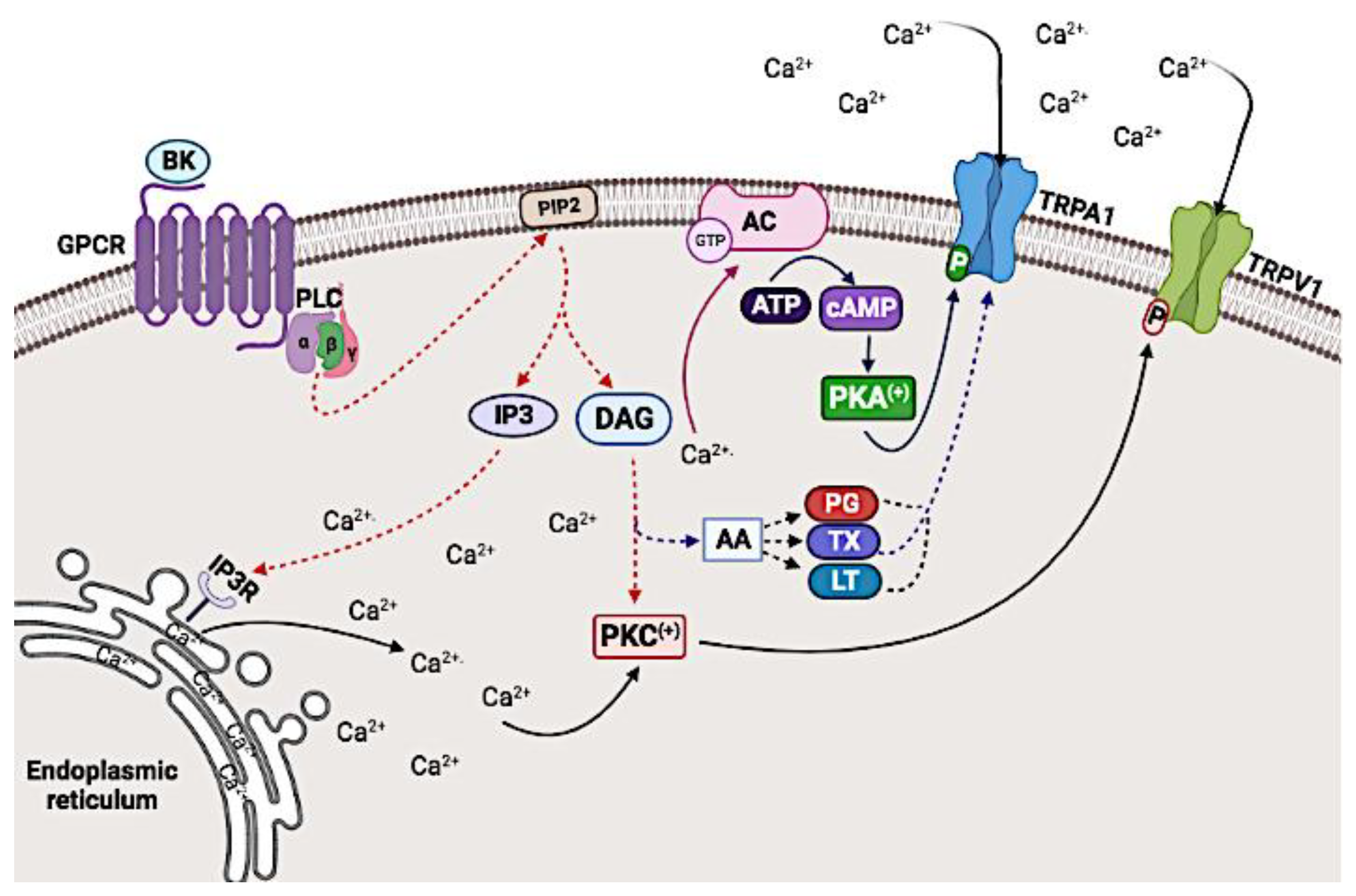 Biomolecules 12 00001 g003 Biomolecules 12 00001 g003