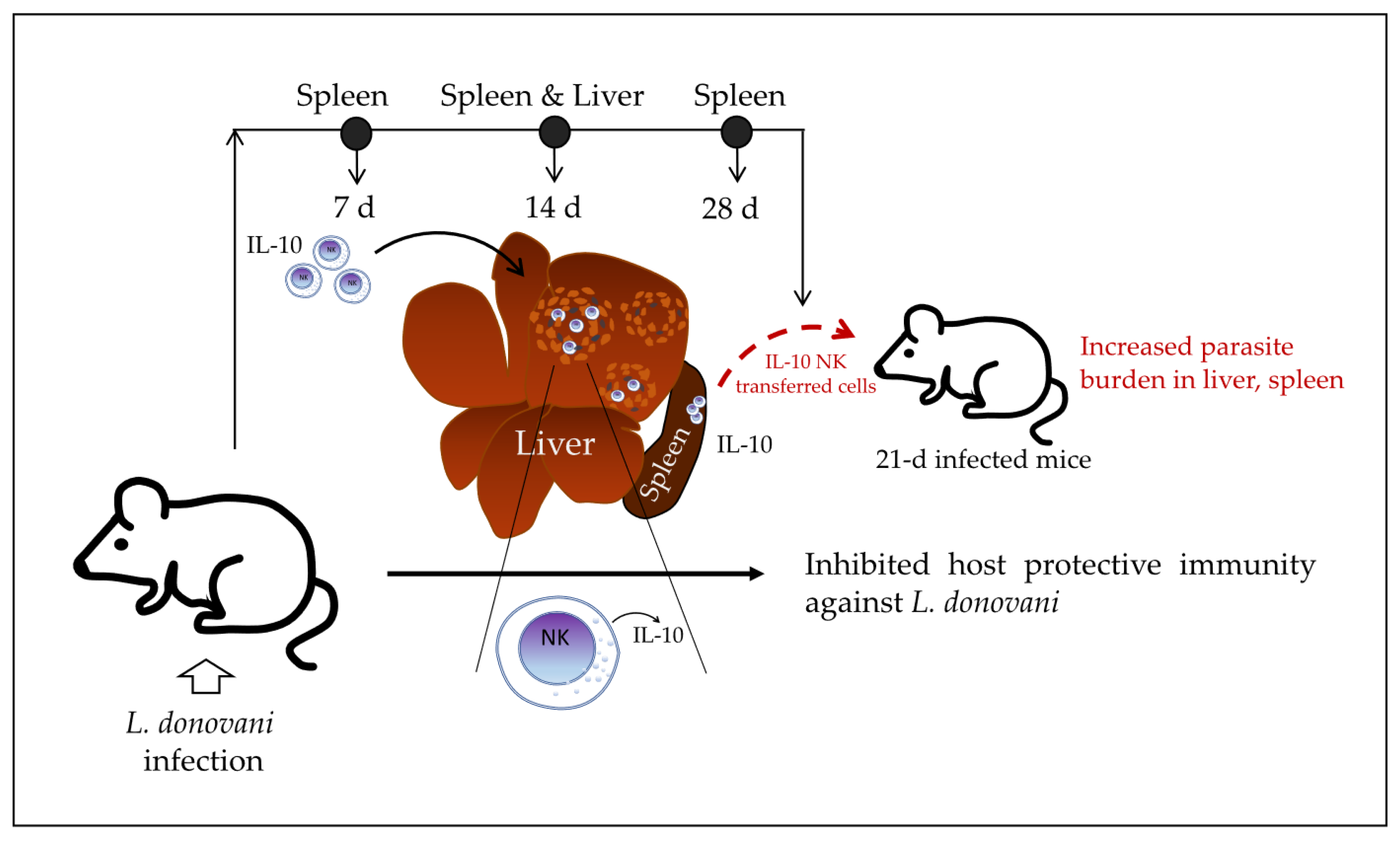 Biomolecules 12 00004 g003 550